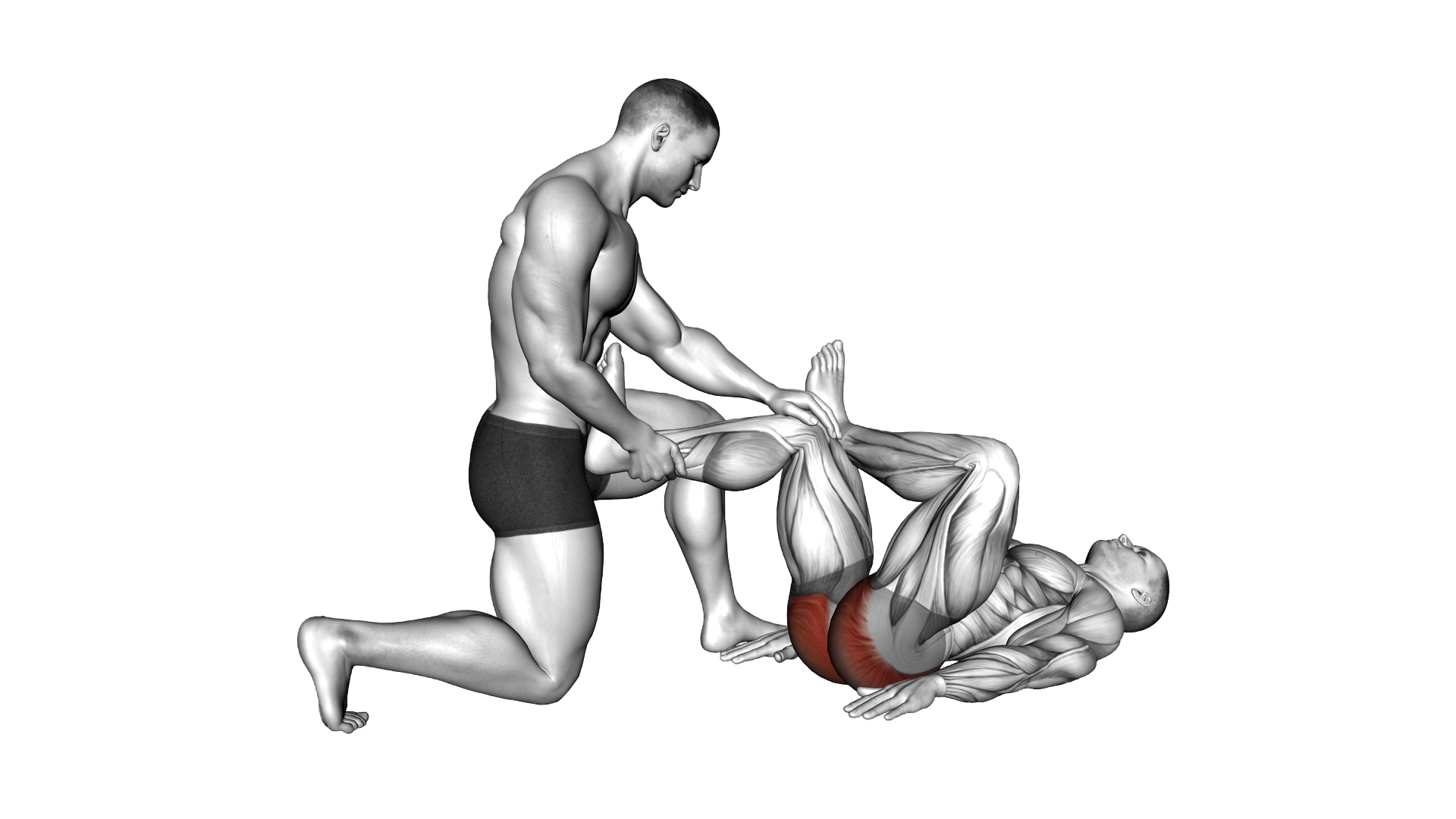 Assisted Lying Gluteus And Piriformis Stretch exercise demonstration