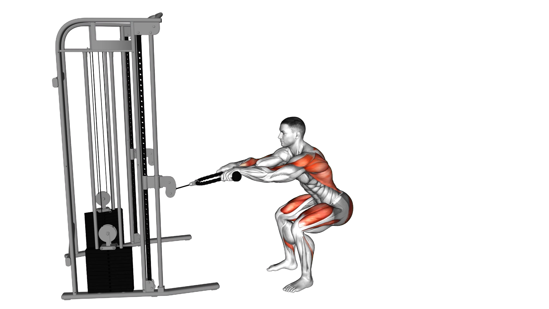 Cable Squat Row (with rope attachment) exercise demonstration