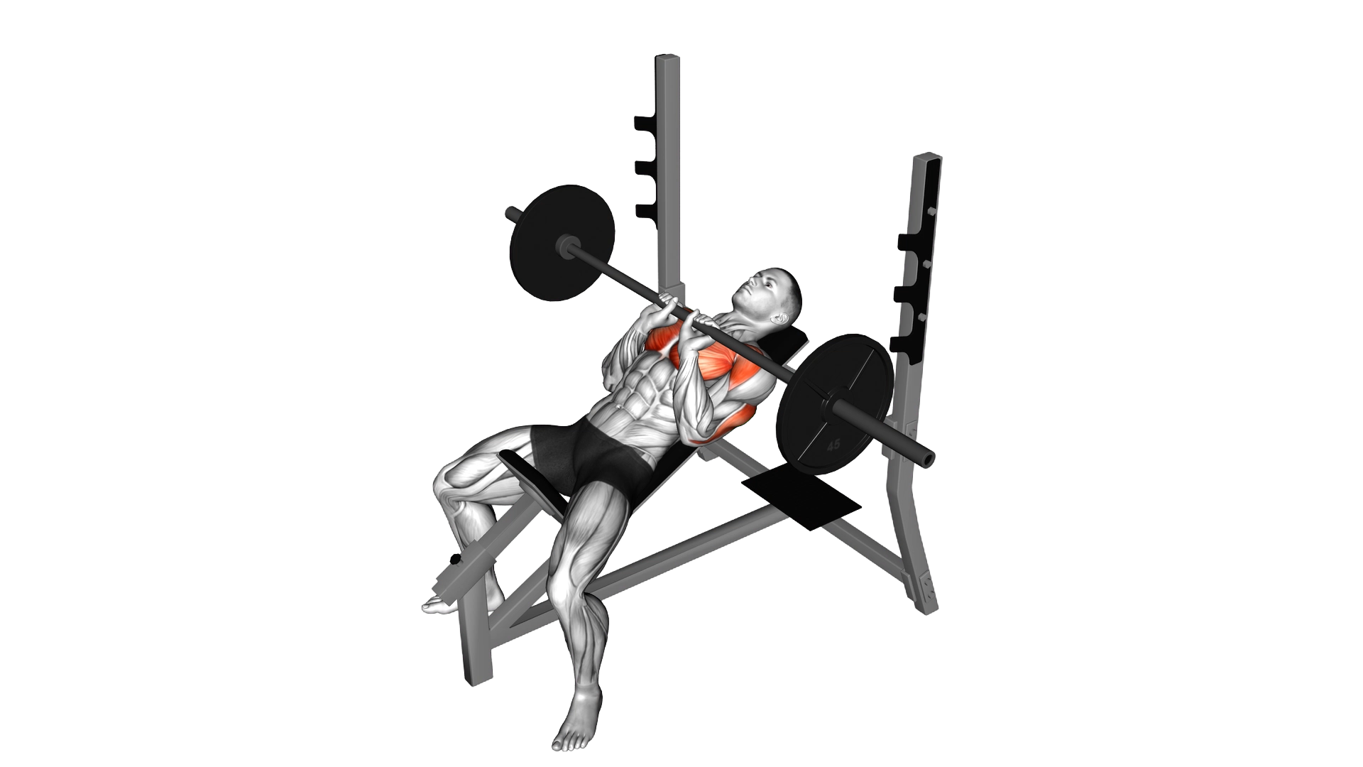 Barbell Incline Close Grip Bench Press exercise thumbnail