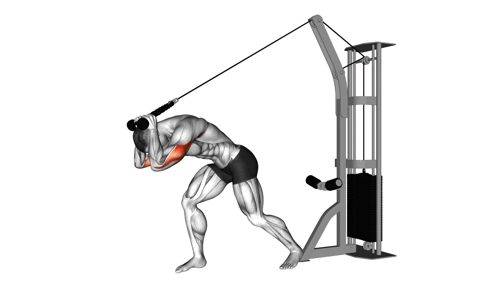 Cable Rope High Pulley Overhead Tricep Extension exercise thumbnail