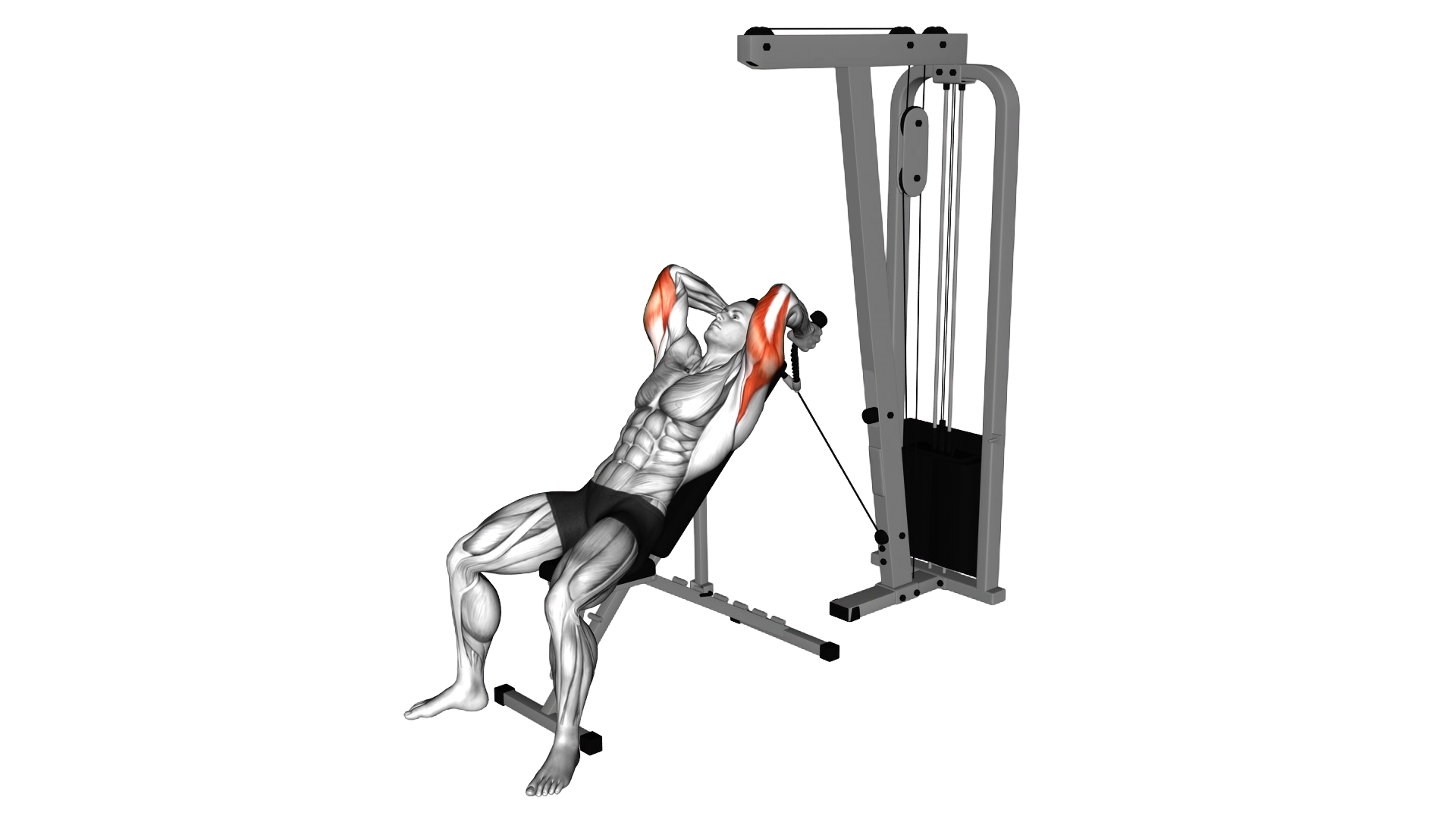 Cable Rope Incline Tricep Extension exercise thumbnail