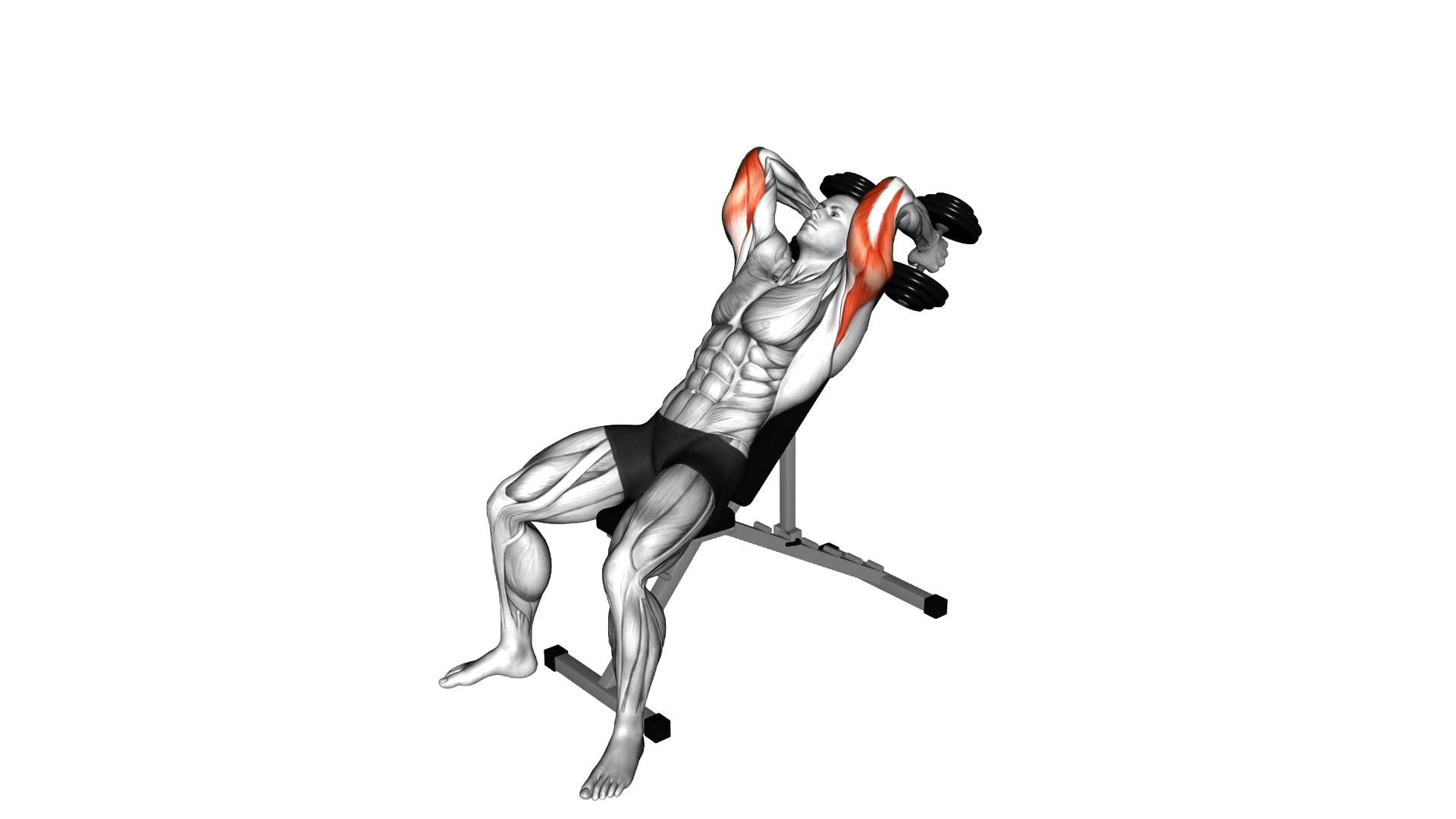 Dumbbell Lying Alternate Extension exercise demonstration