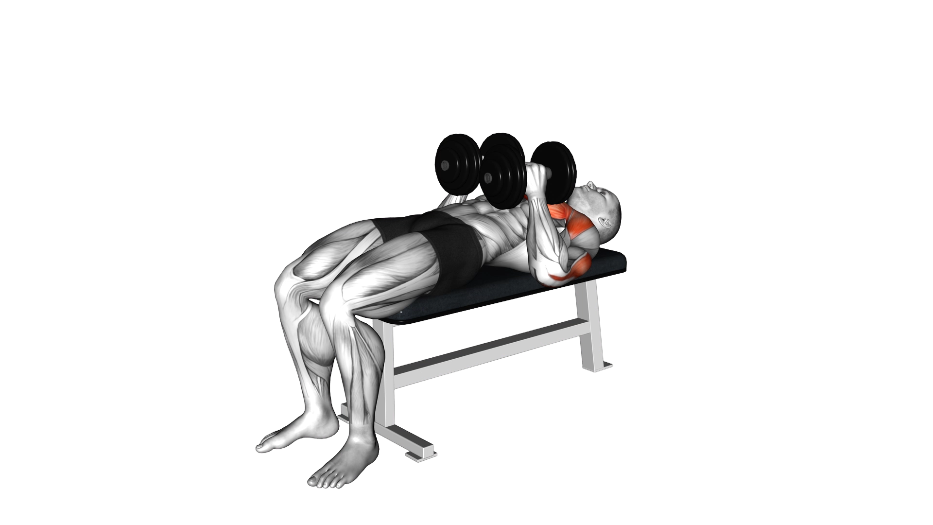 Dumbbell Close Grip Press exercise demonstration