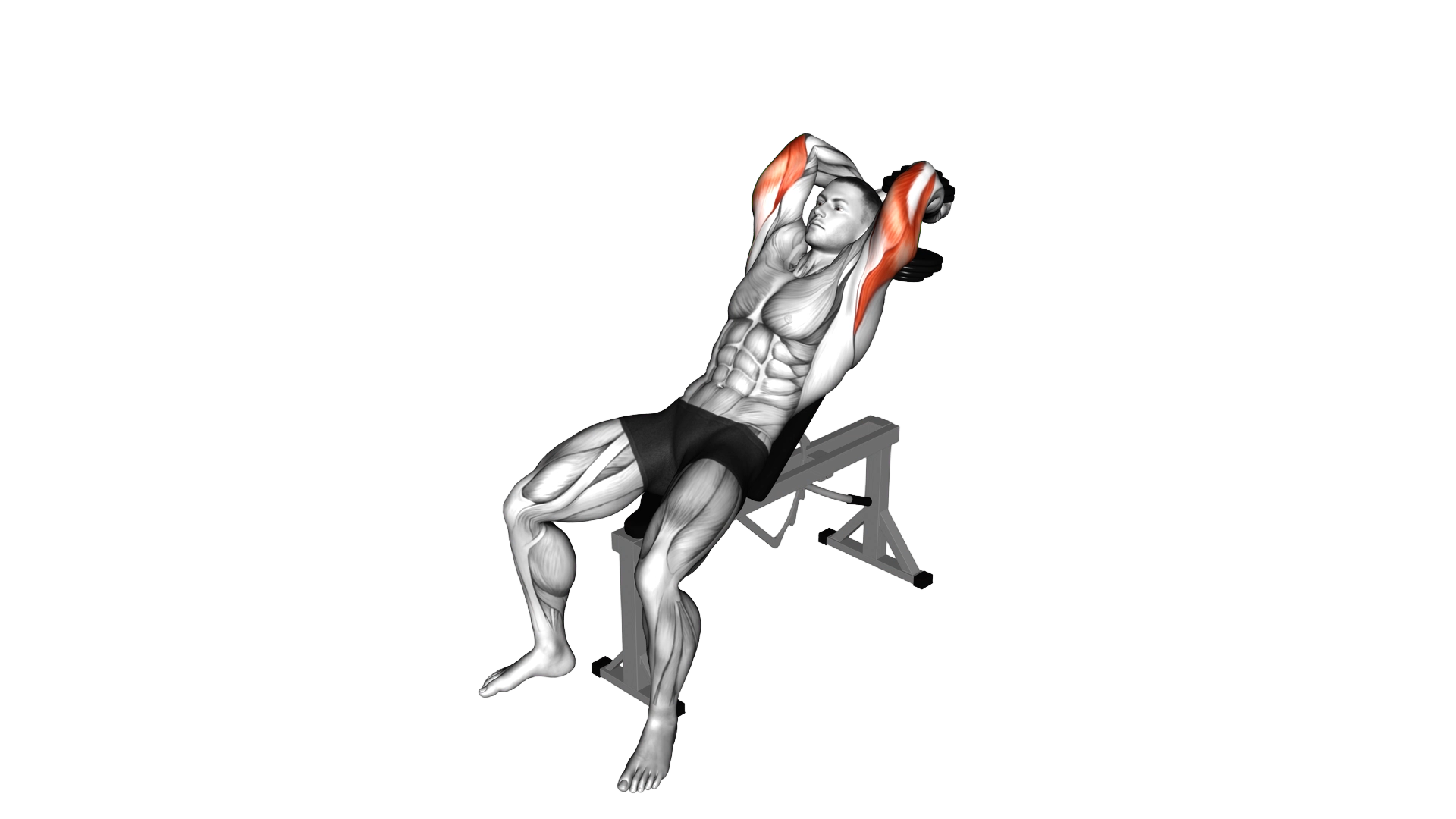 Dumbbell Incline Two Arm Extension exercise demonstration