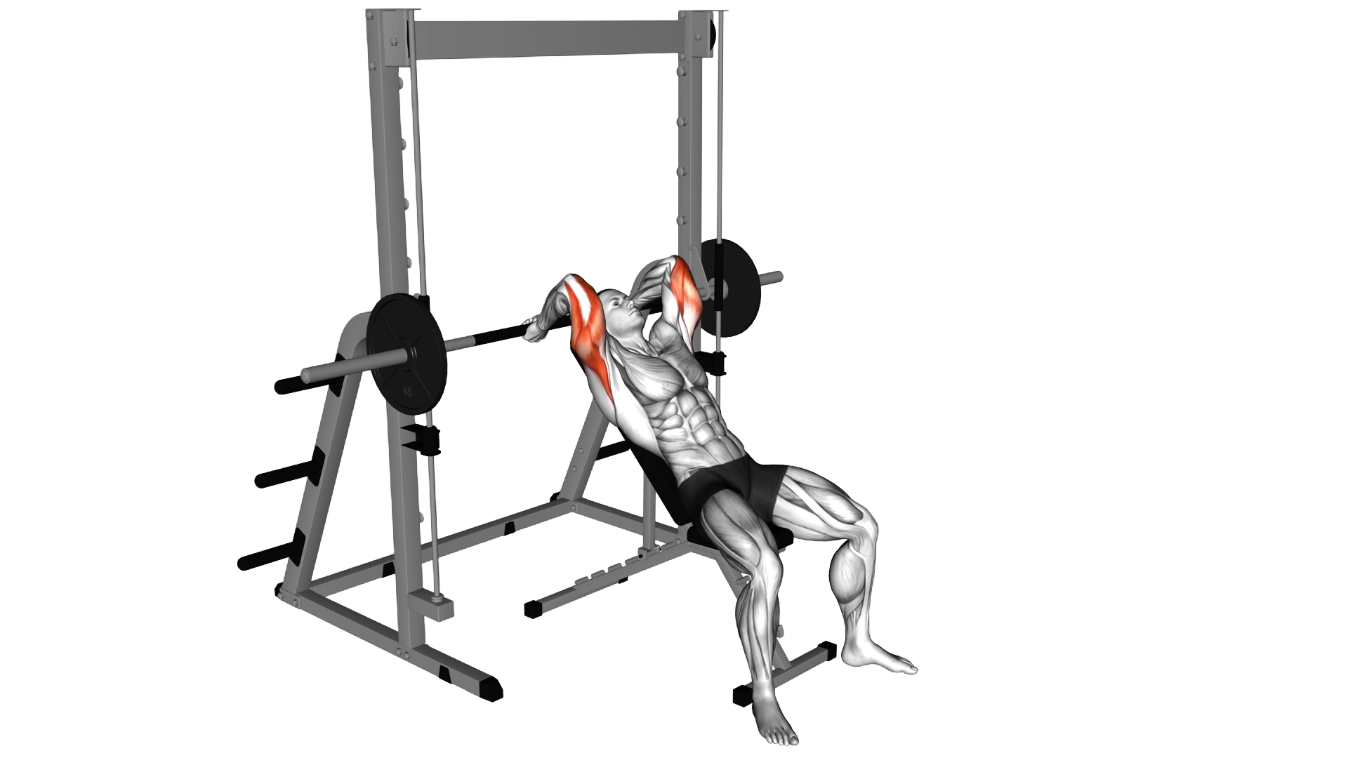 Smith Machine Incline Tricep Extension exercise thumbnail