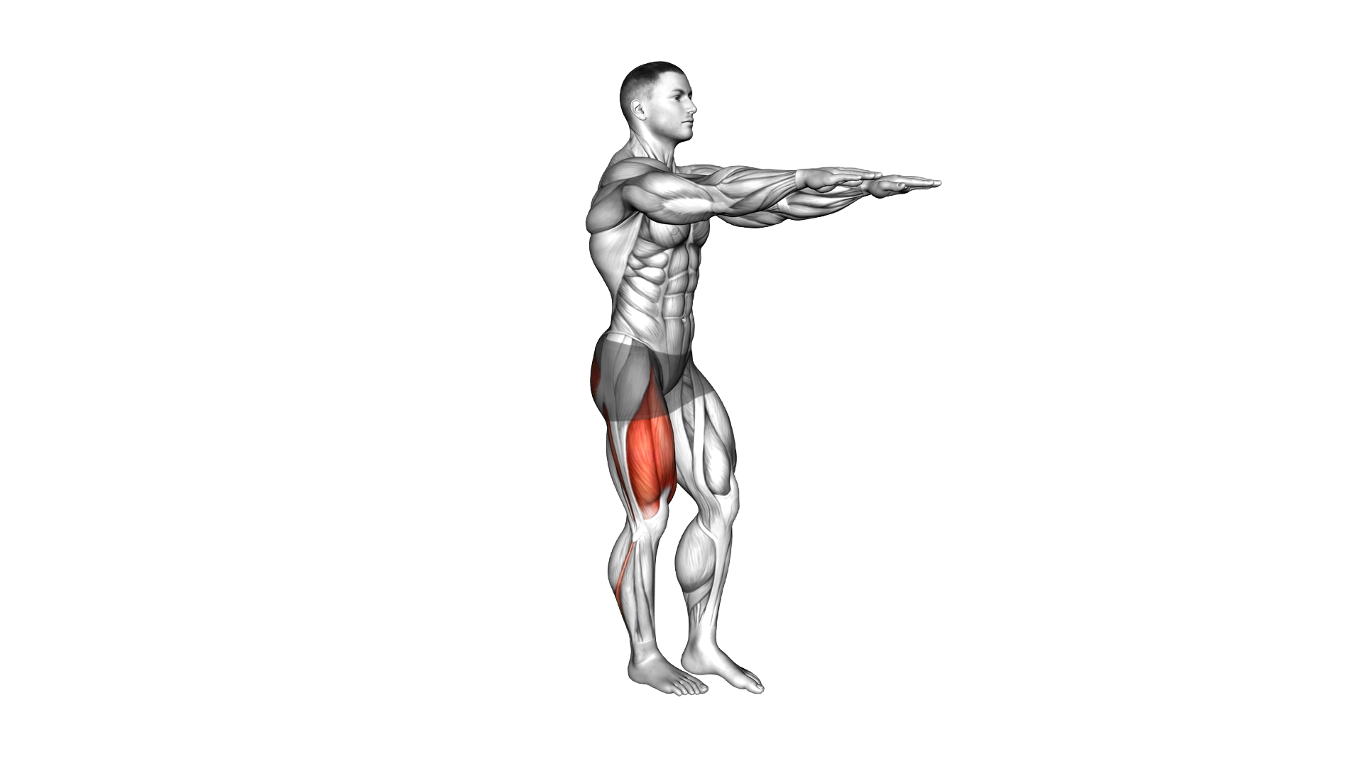 Single Leg Squat (pistol) male exercise demonstration