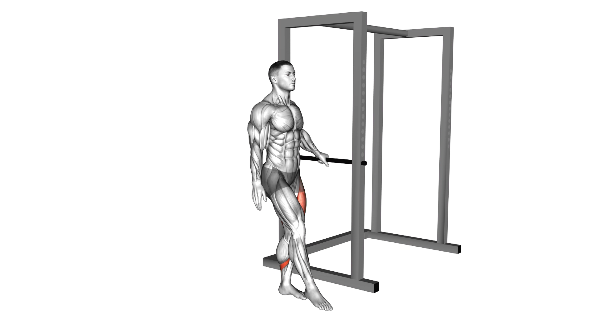 Single Leg Squat with Support (pistol) exercise demonstration
