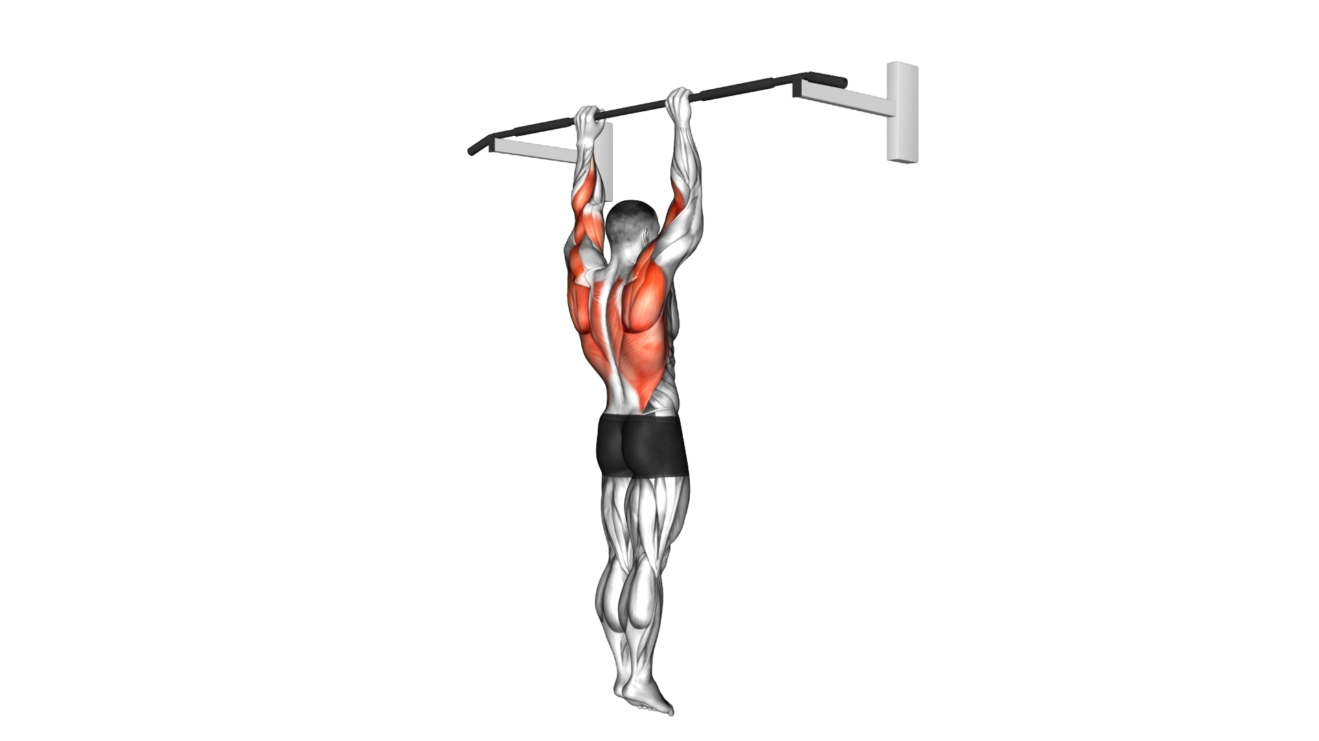 Shoulder Grip Pull up exercise demonstration