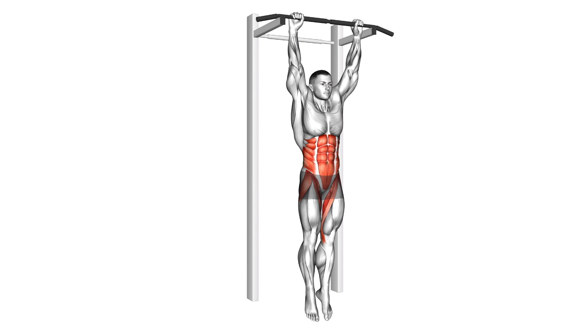 Hanging Leg Hip Raise exercise demonstration