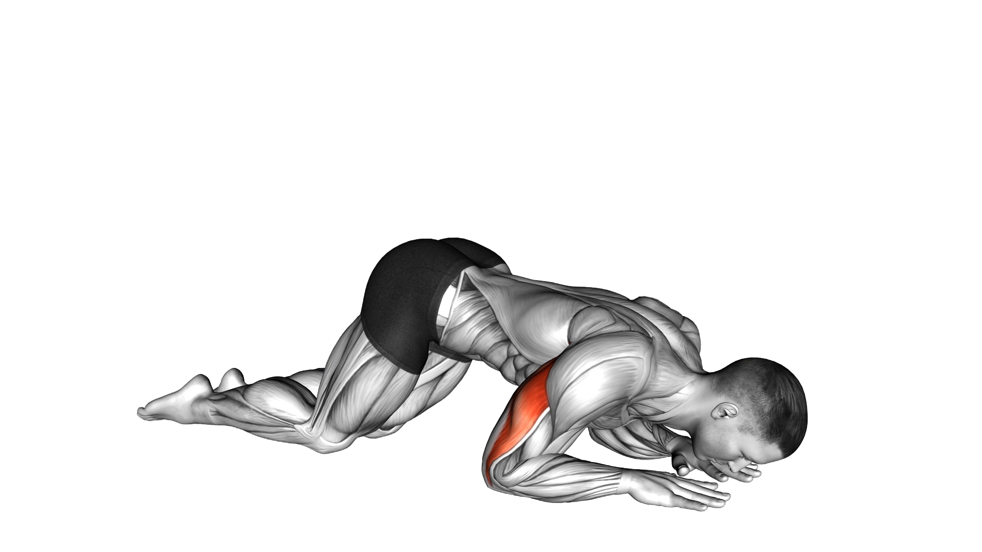 Bodyweight Kneeling Triceps Extension exercise thumbnail