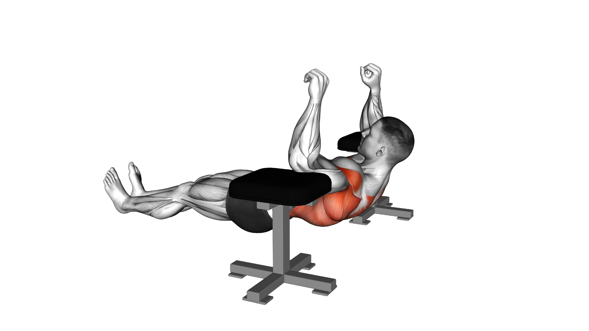 Elbow Lift Reverse Push Up exercise demonstration