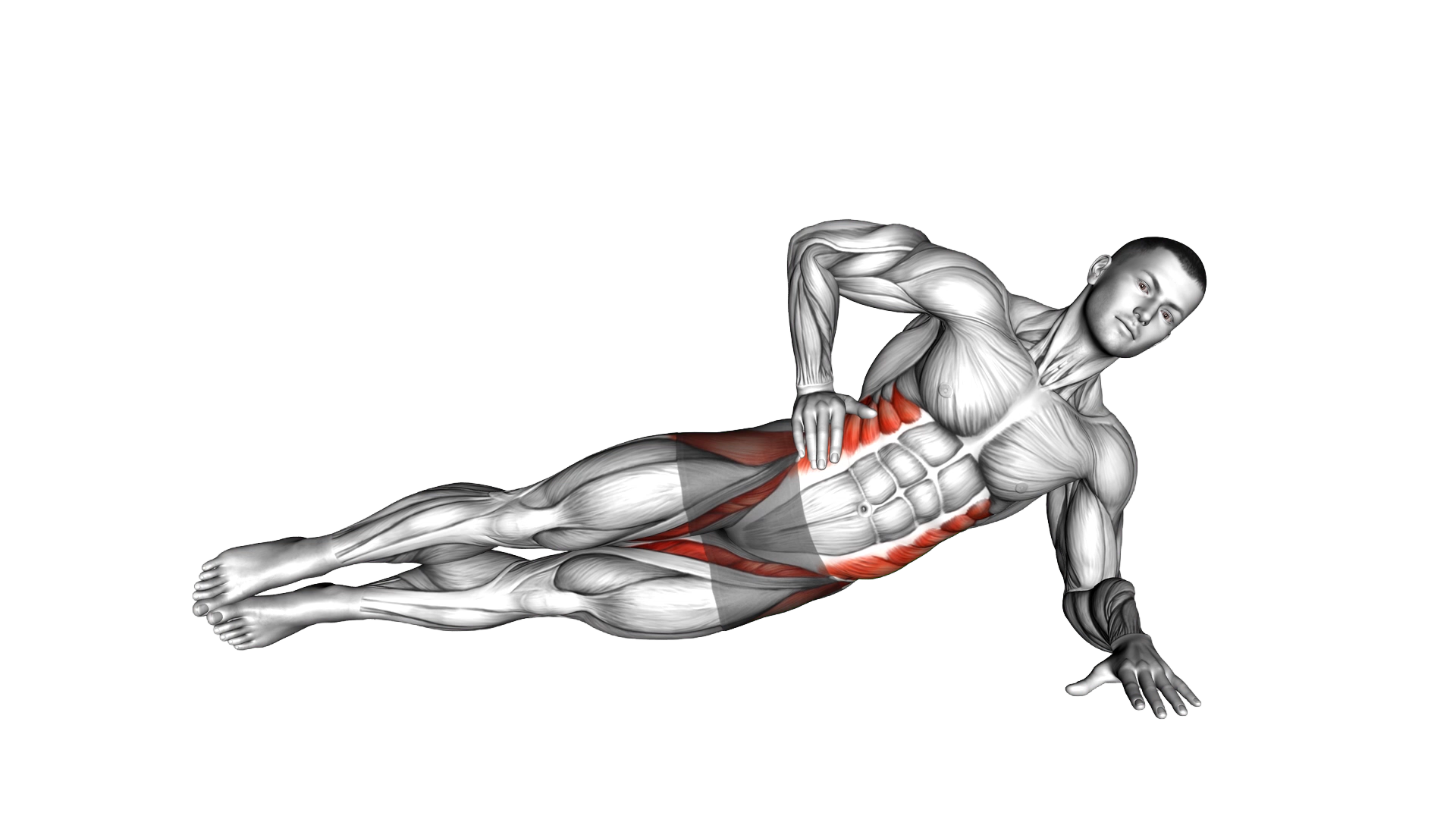 Side Bridge Hip Abduction exercise demonstration