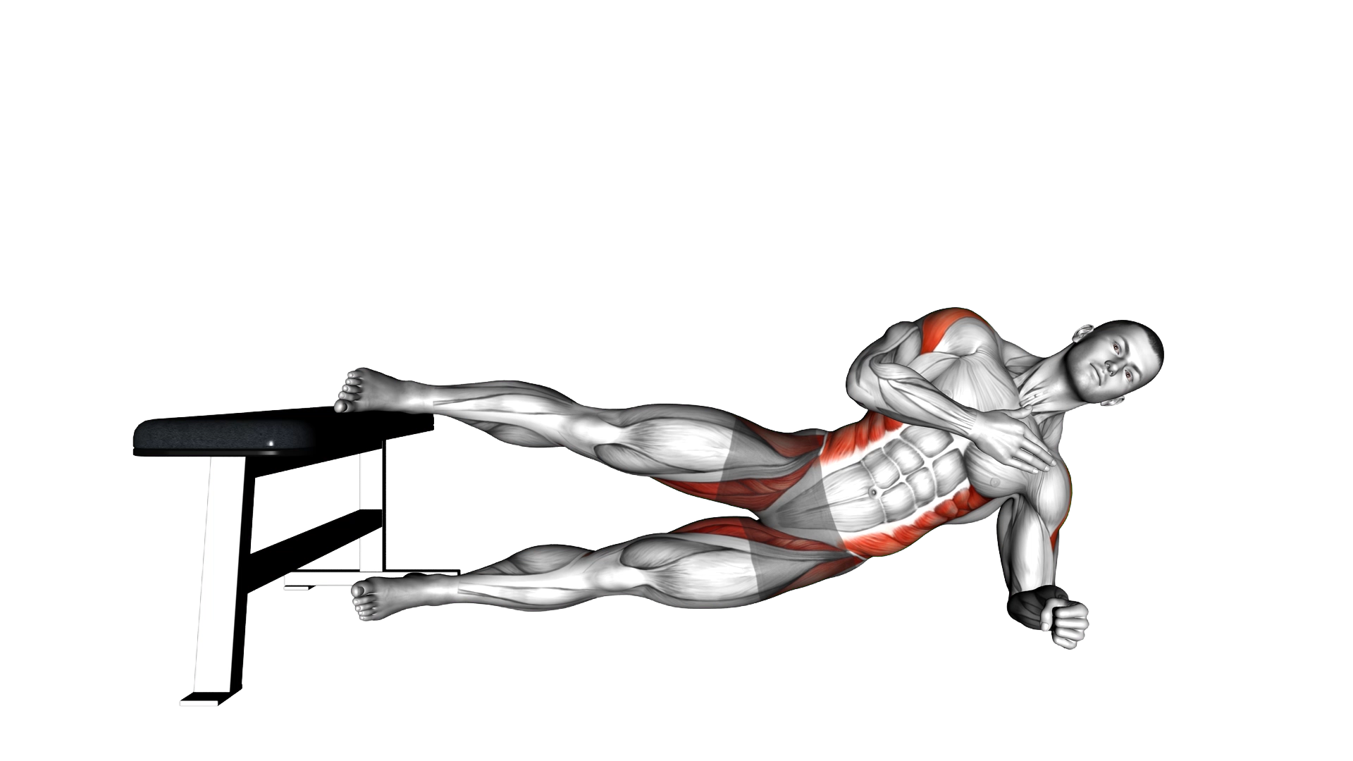 Side Plank Hip Adduction exercise demonstration