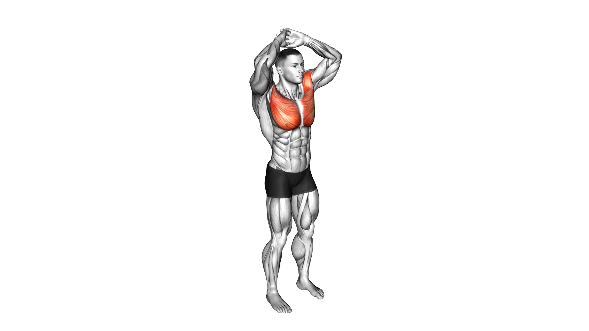Above Head Chest Stretch exercise thumbnail