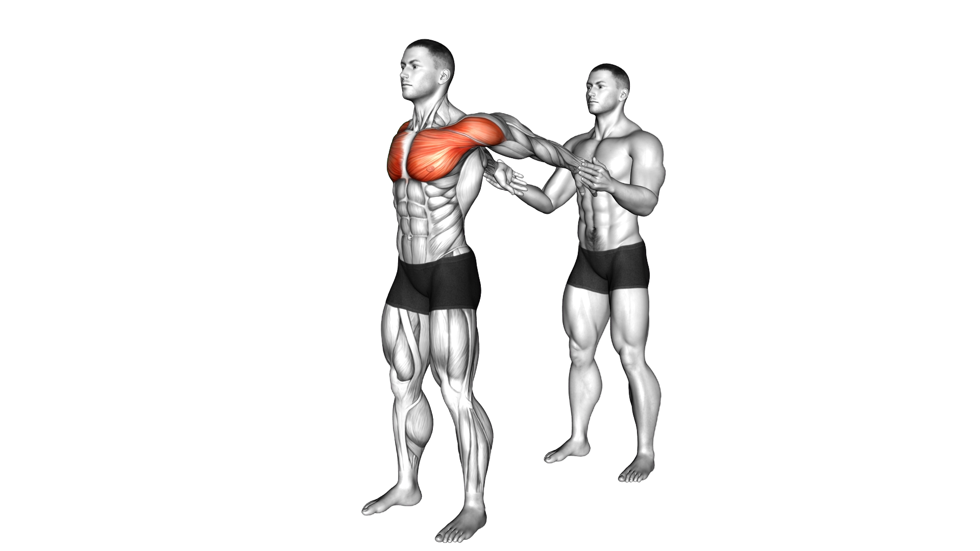 Assisted Standing Chest Stretch exercise thumbnail