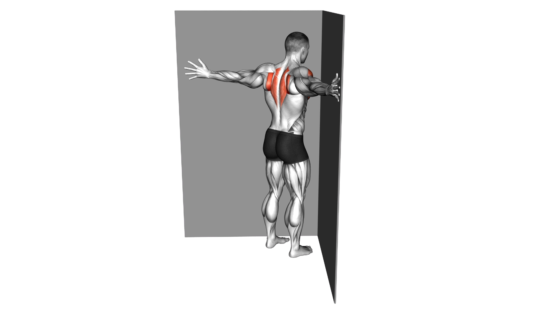 Coner Wall Chest Stretch exercise demonstration