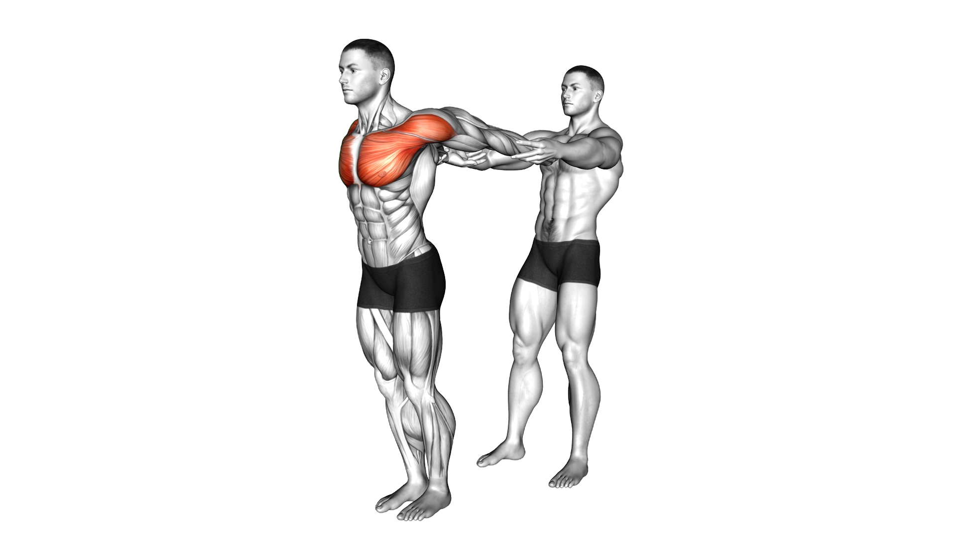 Assisted Pulling Backs Chest Stretch exercise thumbnail