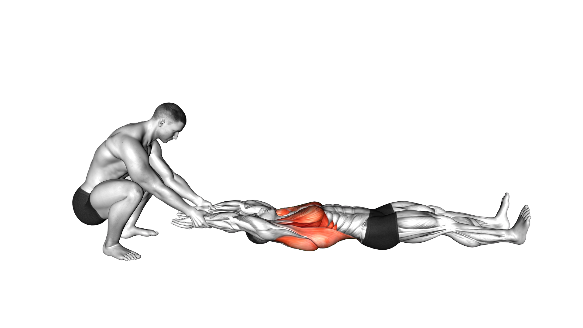Assisted Straight Arms Lying Stretch exercise thumbnail