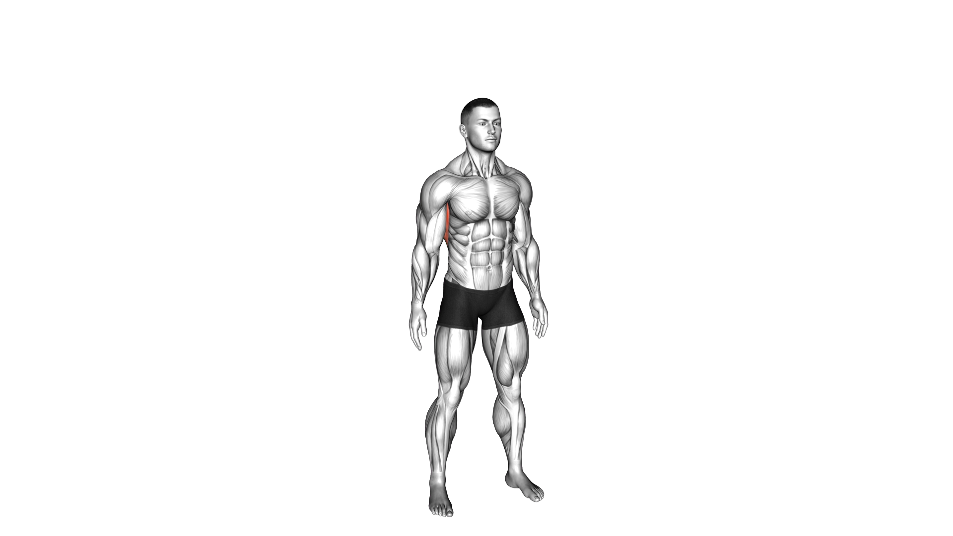 Standing reach up back rotation stretch exercise demonstration