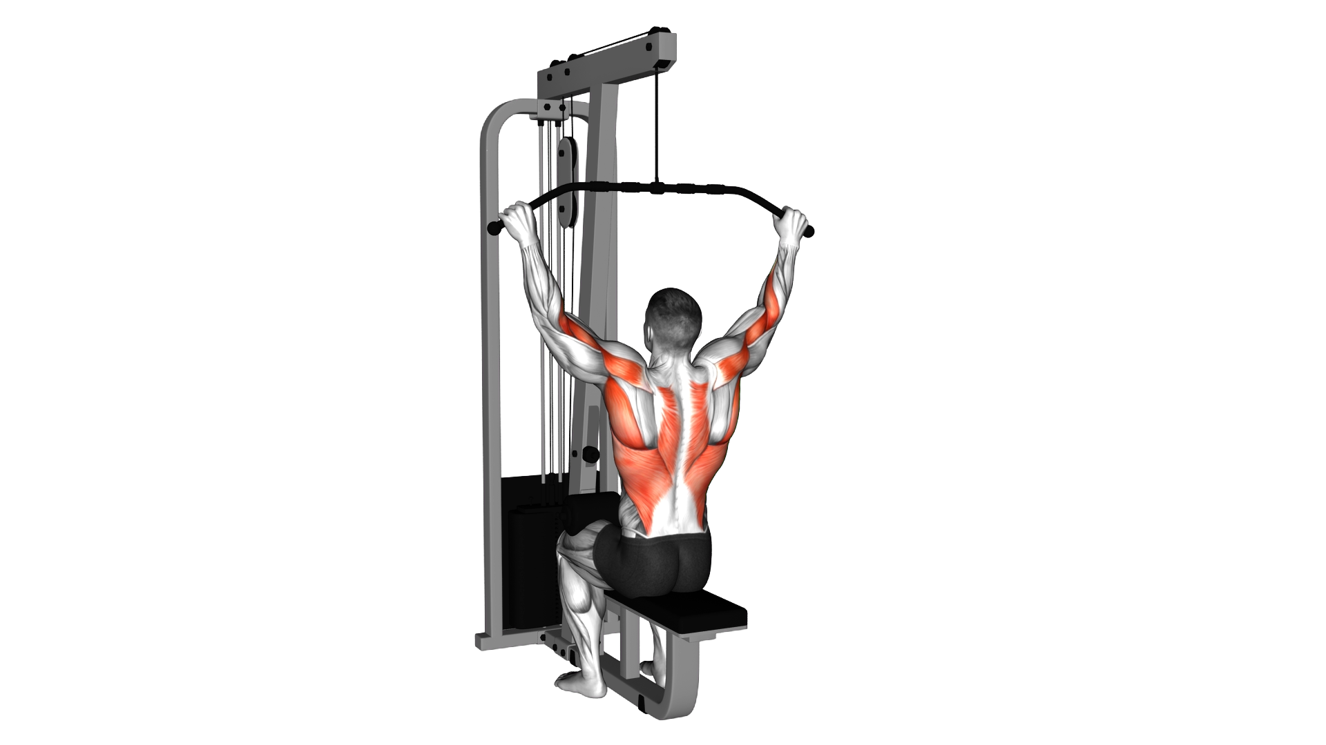 Cable Suspension Back Stretch exercise thumbnail
