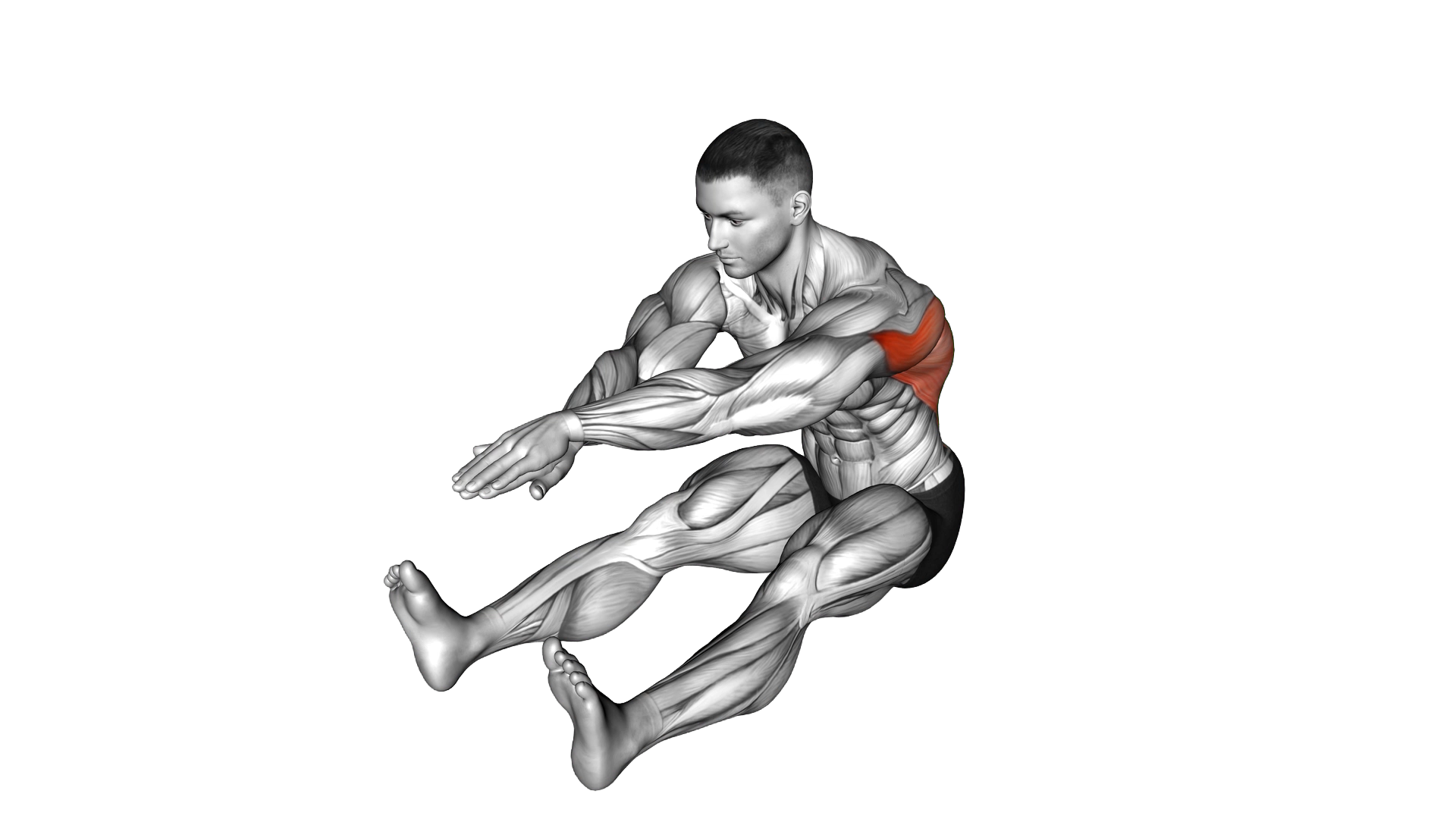 Sitting Bent Over Back Stretch exercise demonstration