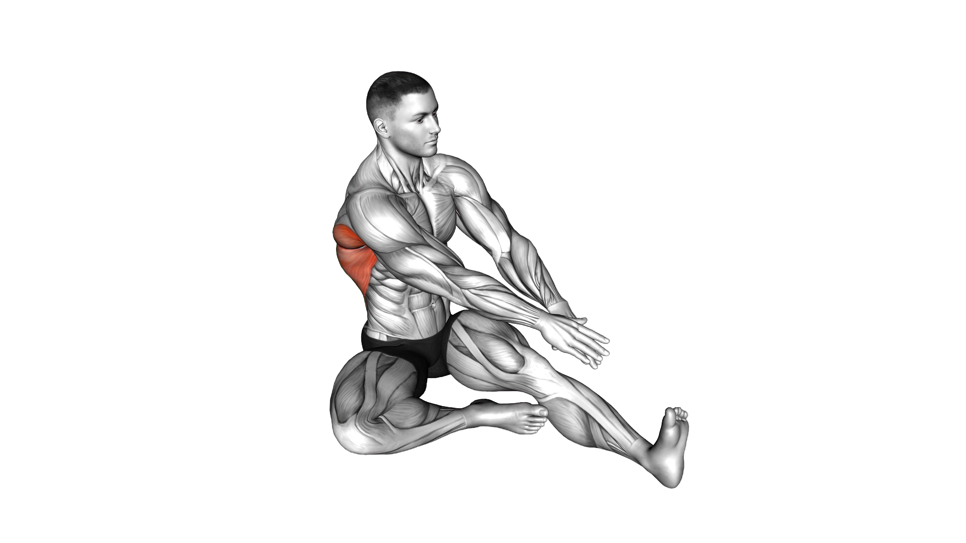 Sitting Side Reach Stretch exercise demonstration