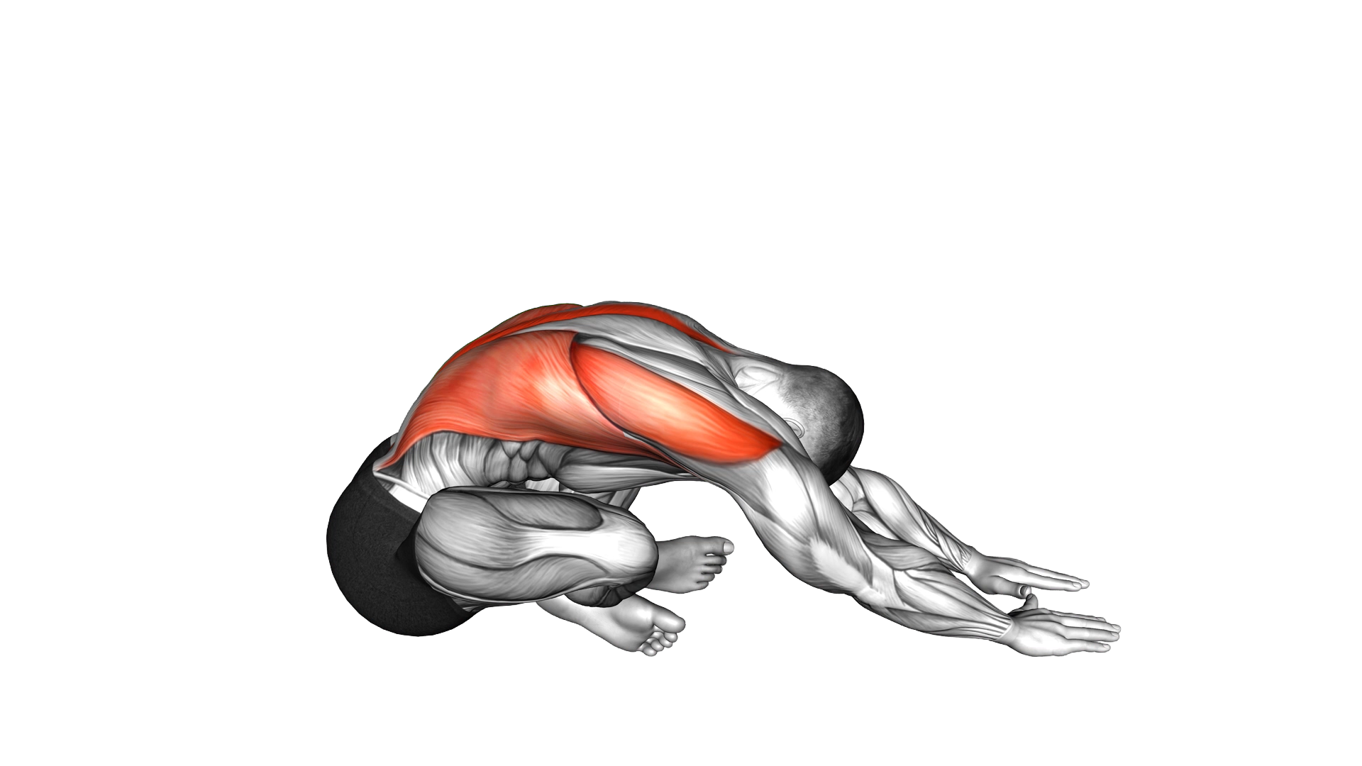 Sitting Crossed Legged Reach Forward Stretch exercise demonstration