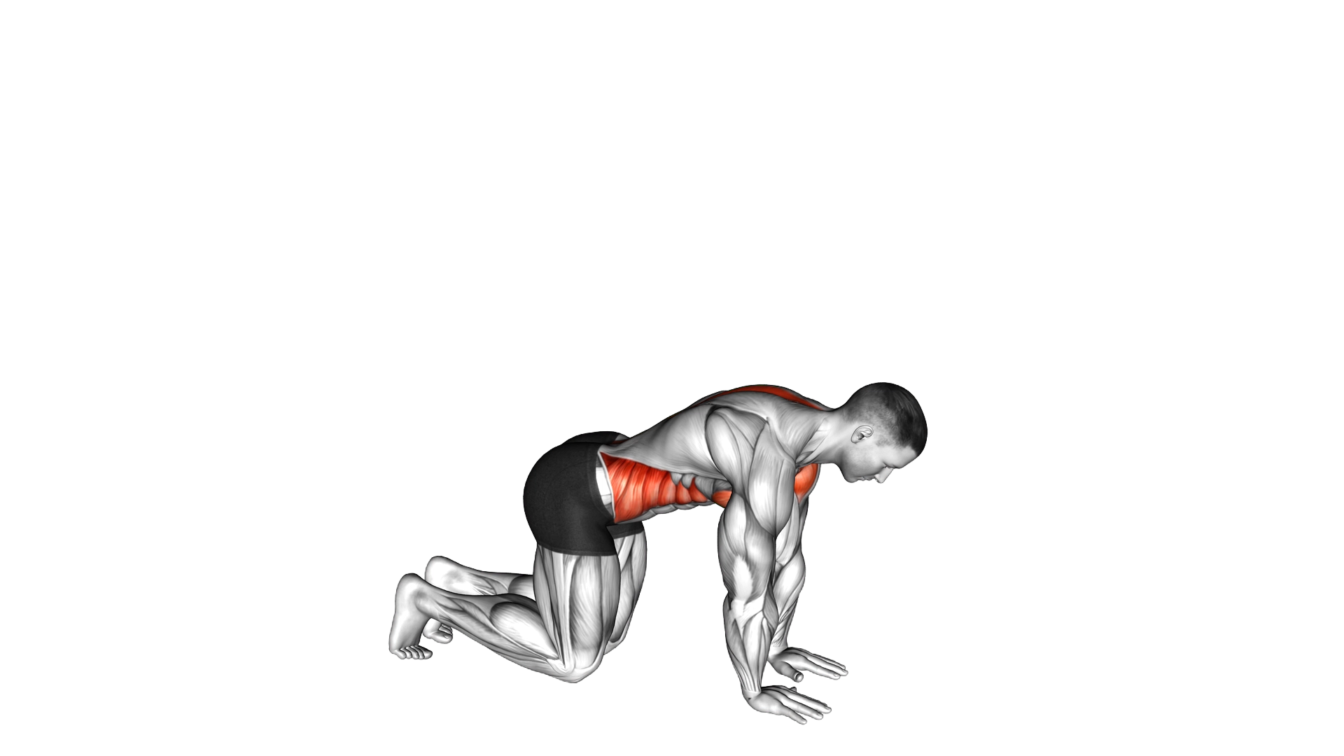 Kneeling Back Rotation Stretch exercise demonstration