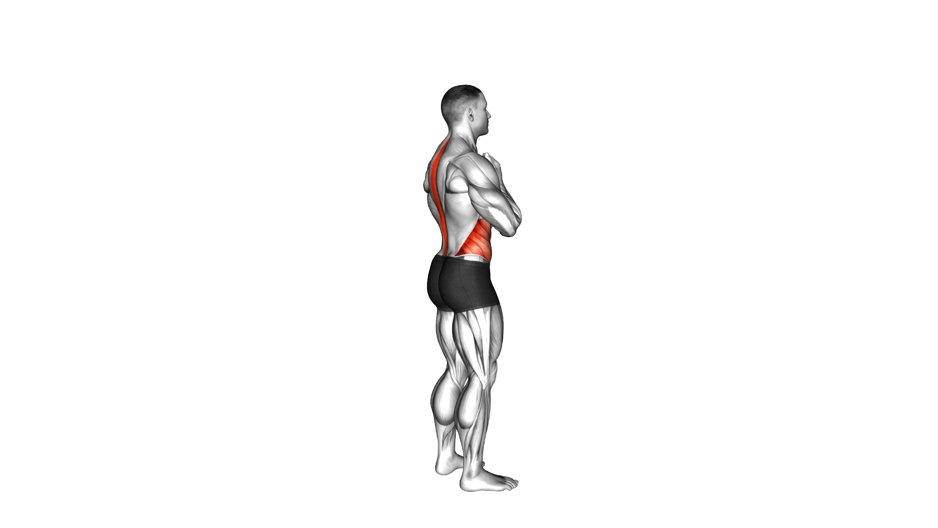 Standing Back Rotation Stretch exercise demonstration