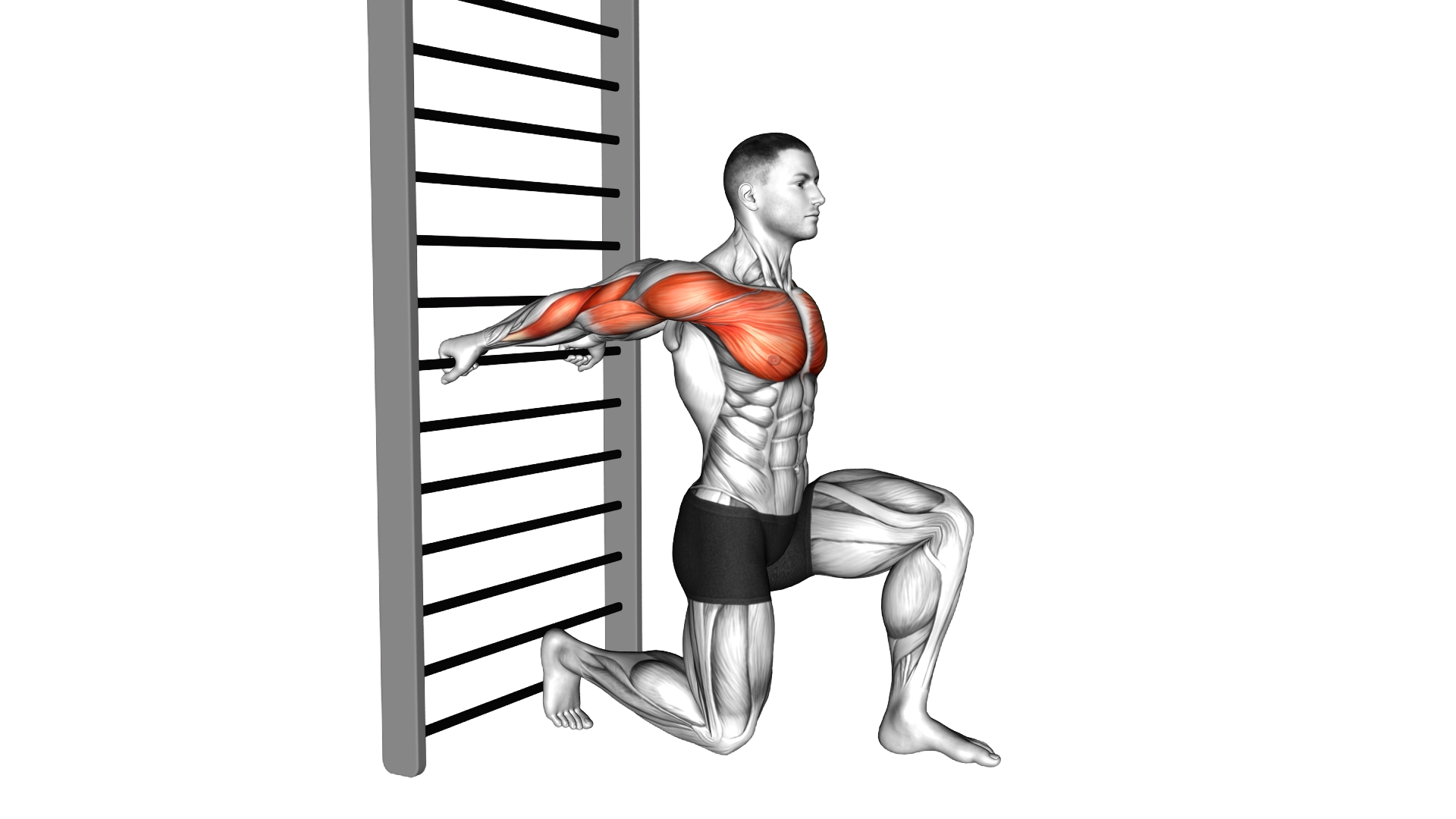 Arms Stretch On a Support exercise demonstration
