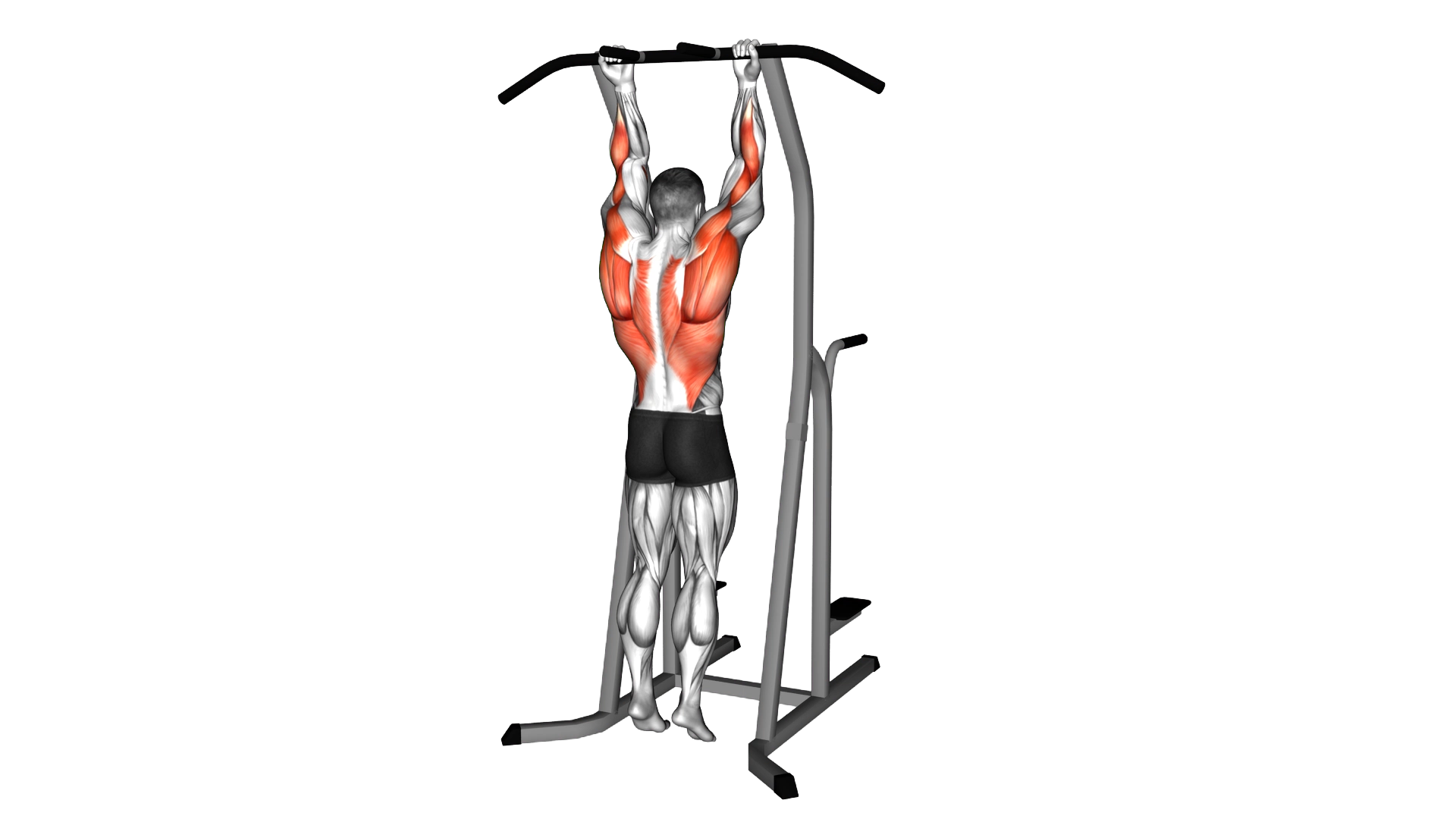 Supination Bar Suspension Stretch exercise thumbnail