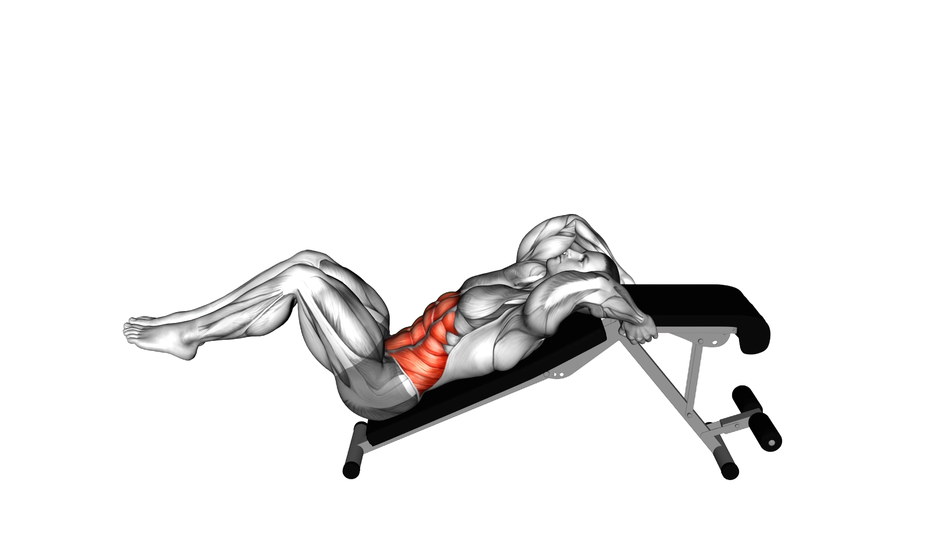Decline Bent Leg Reverse Crunch exercise demonstration