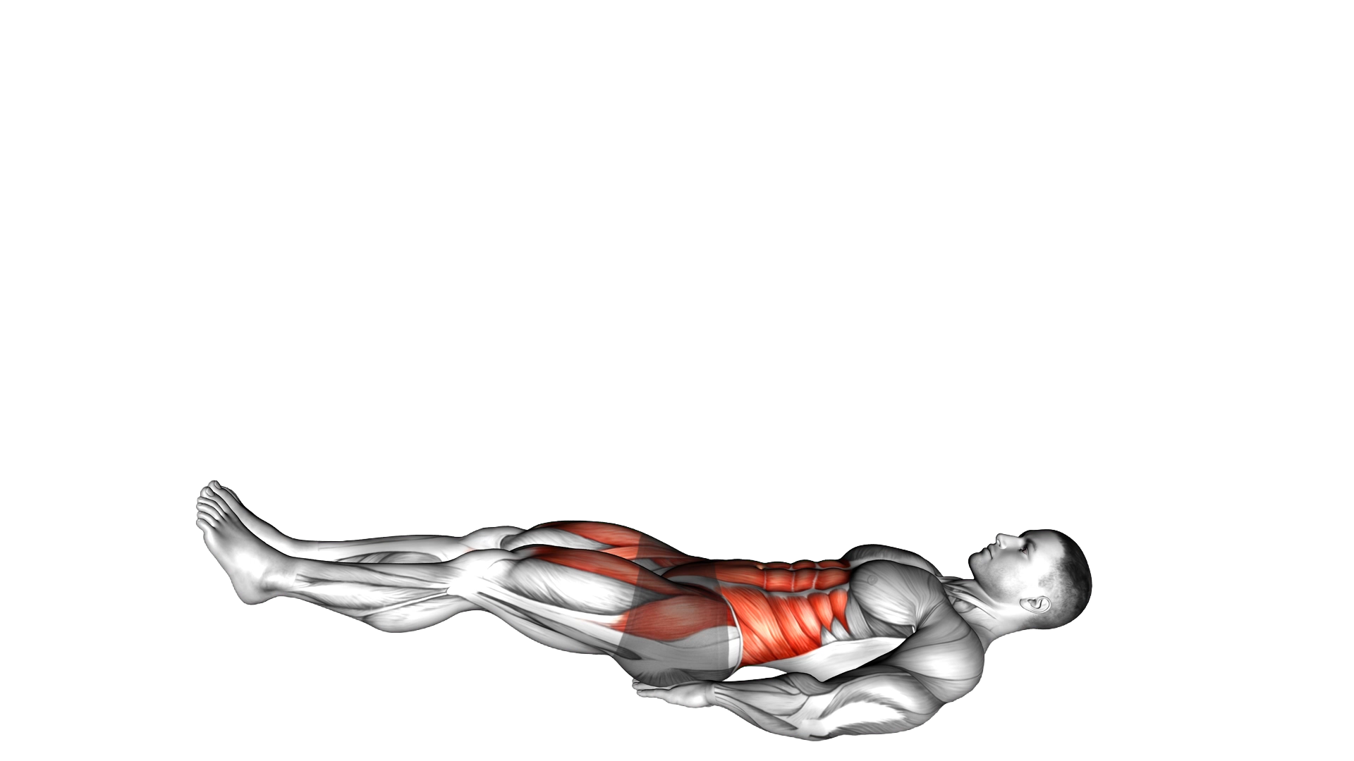 Leg Raise Hip Lift with Head up exercise demonstration