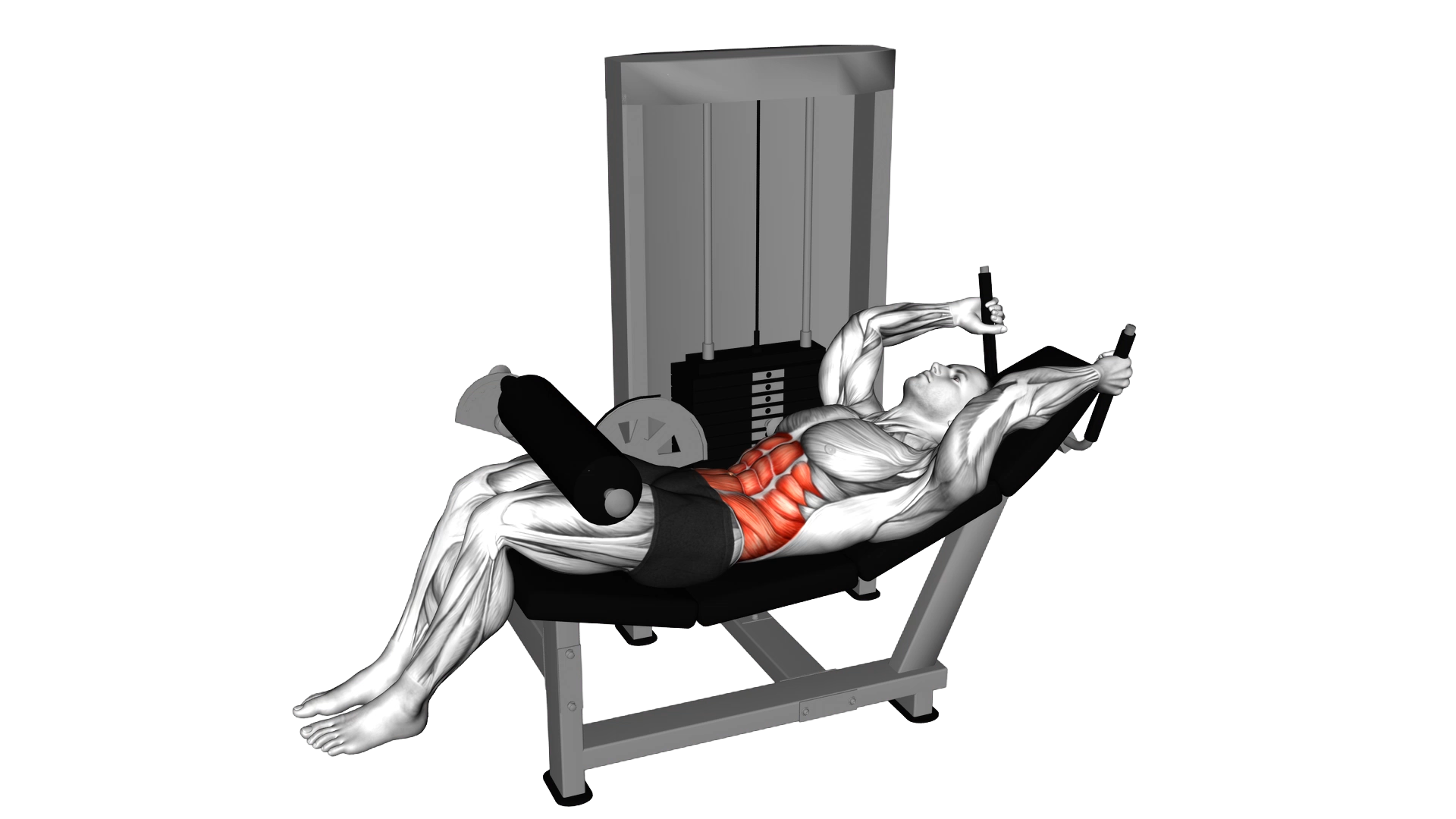 Lever Lying Leg Raise Bent Knee exercise thumbnail