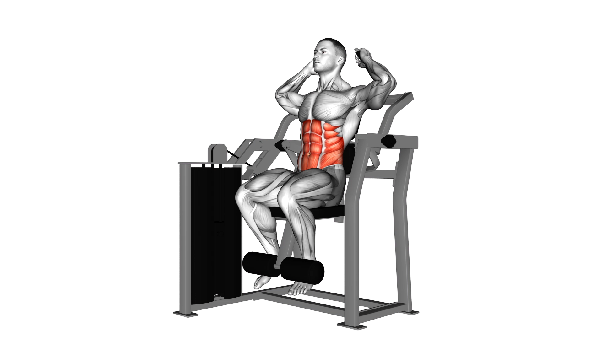 Lever Total Abdominal Crunch exercise thumbnail
