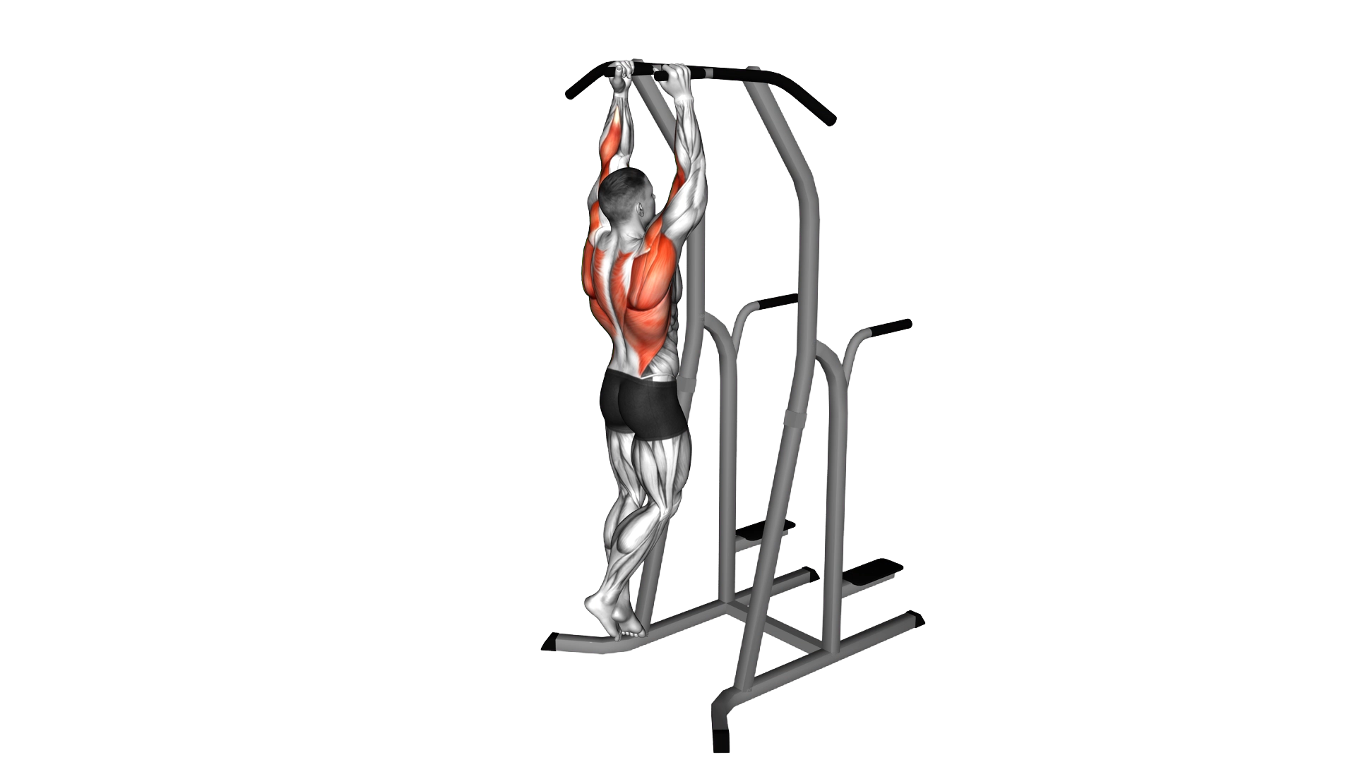 Hammer Grip Pull up on Dip Cage exercise thumbnail