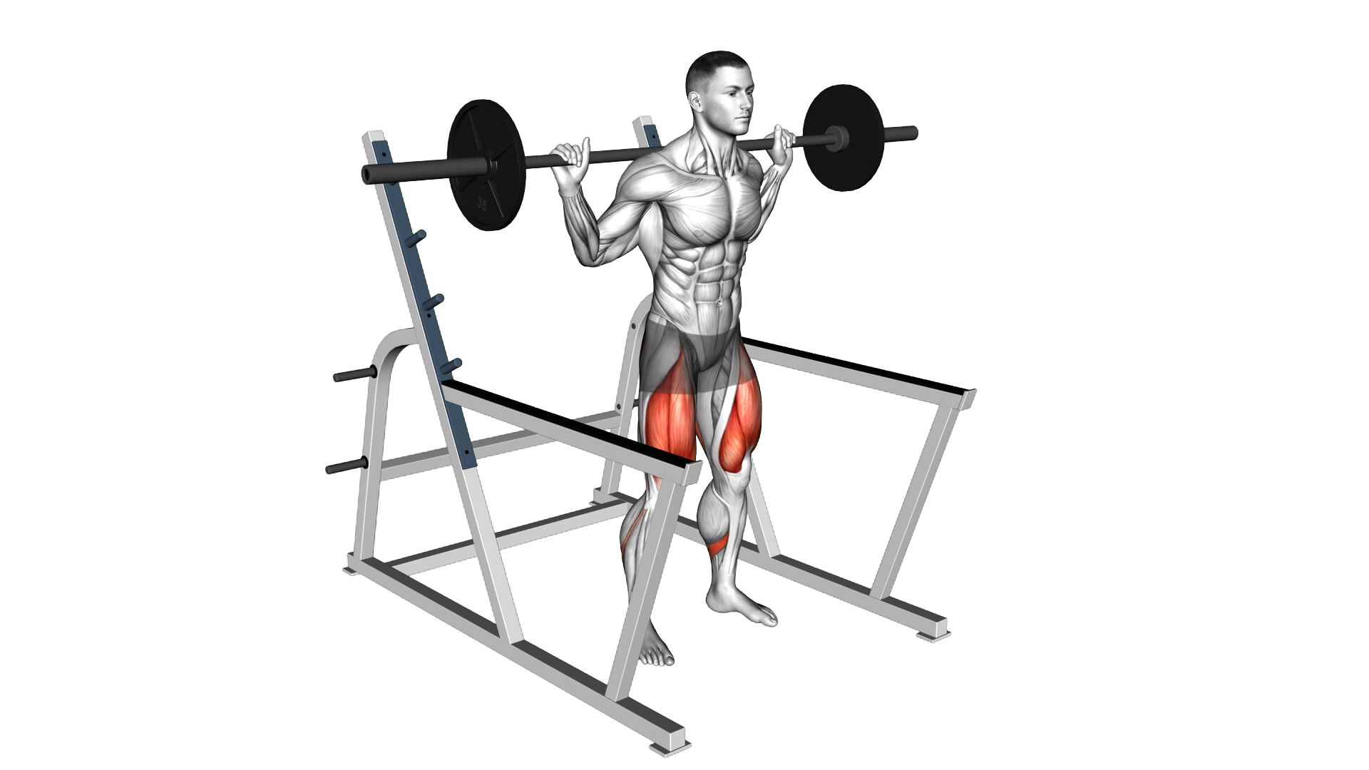 Barbell Low Bar Squat with Rack exercise demonstration