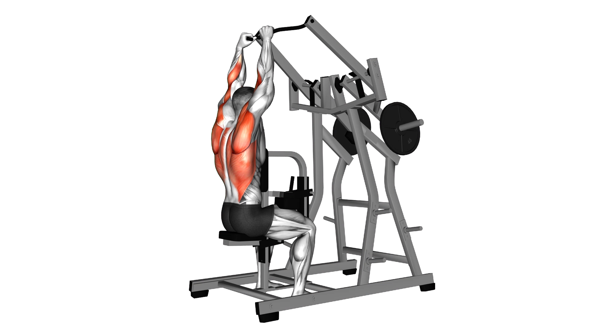 Lever Lateral Pulldown (plate loaded) exercise thumbnail