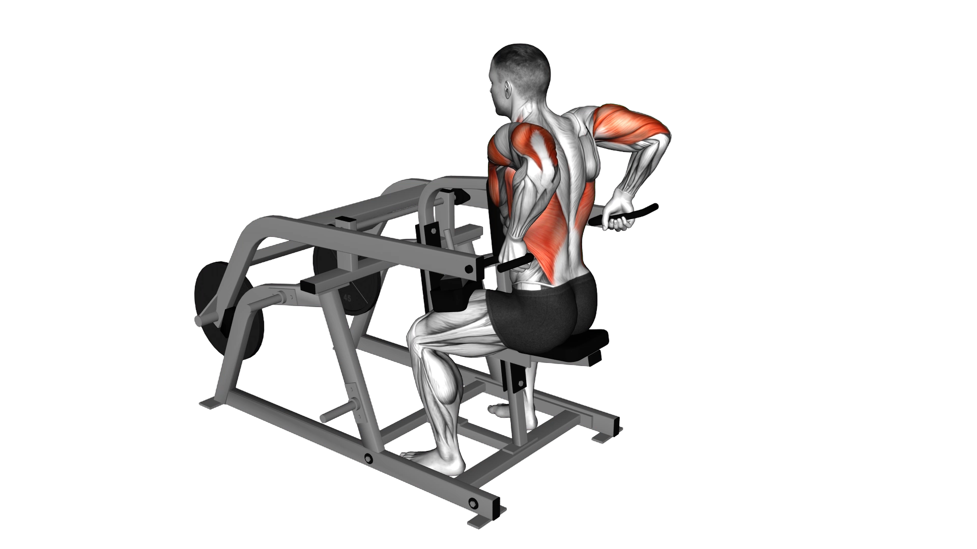 Lever Triceps Dip (plate loaded) exercise thumbnail