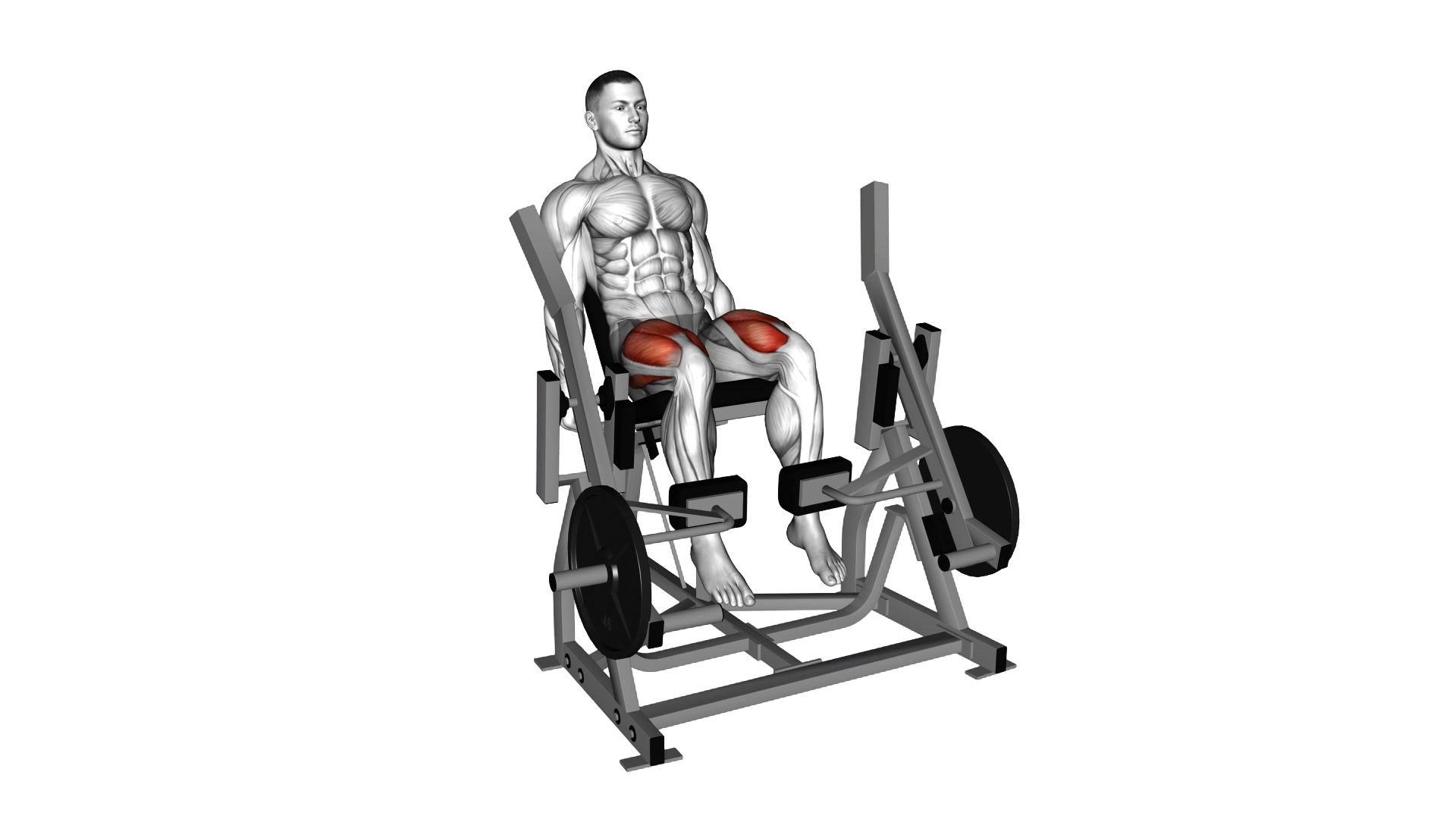 Lever Alternate Leg Extension (plate loaded) exercise demonstration
