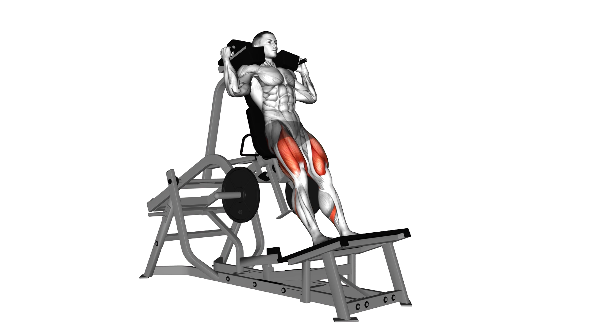 Lever Squat (plate loaded) exercise demonstration