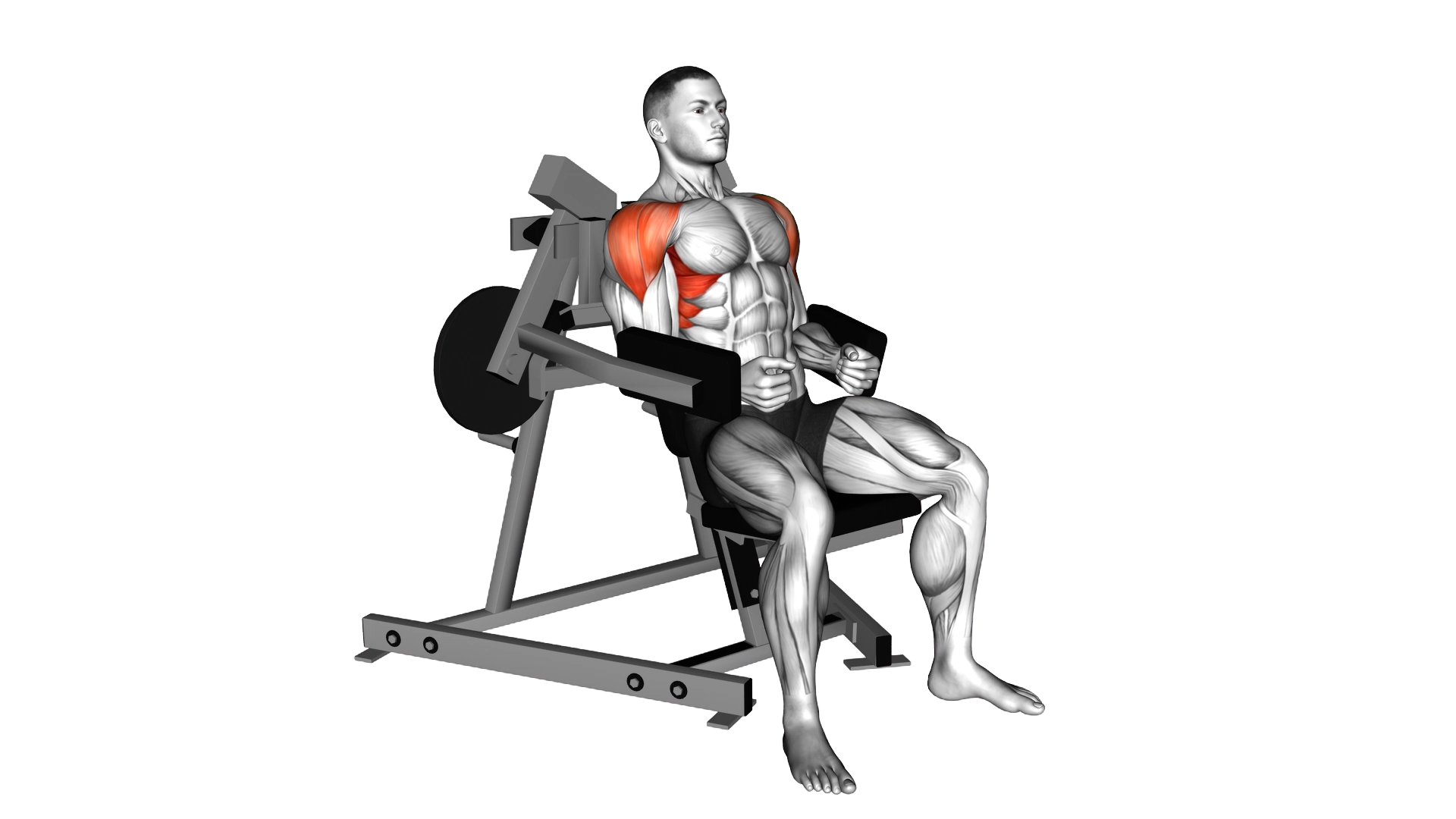 Lever Lateral Raise (plate loaded) exercise demonstration
