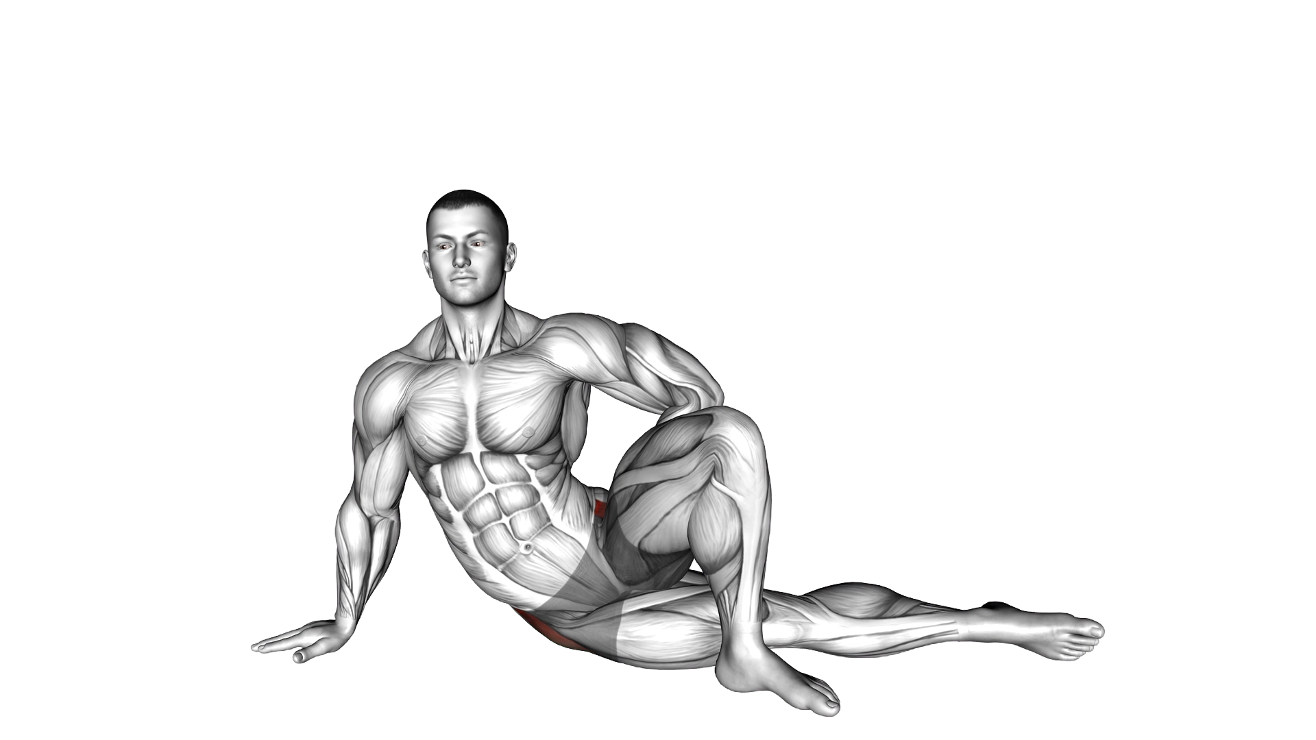 Lying Abductor Stretch exercise demonstration