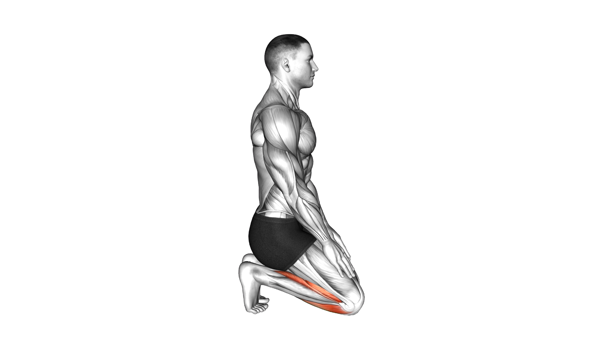 Toe Squat Stretch exercise demonstration