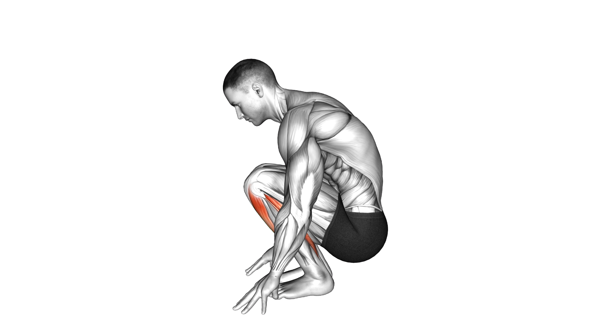 Squatting Achilles Stretch exercise demonstration
