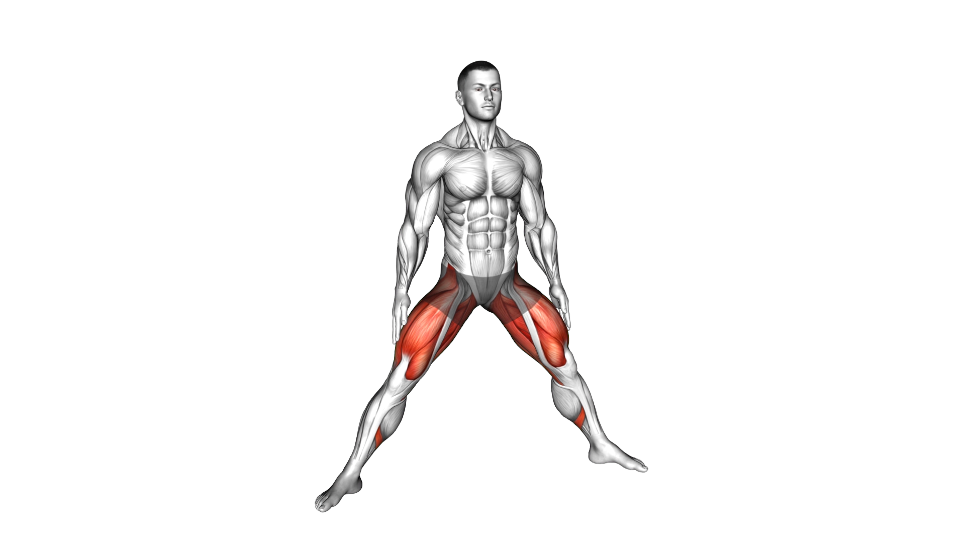 Side Lunge Adductor Stretch exercise demonstration