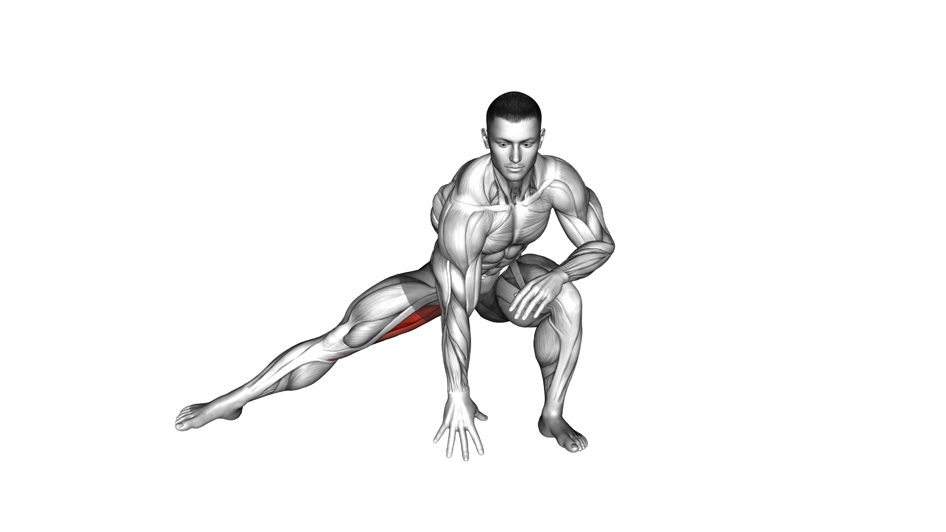 Standing Bent Knee Hip Adductor Stretch exercise demonstration