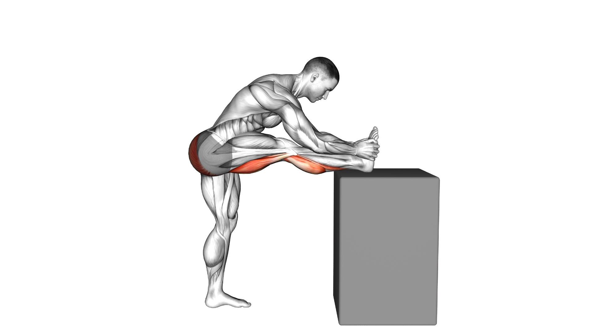 Raised Leg Knee Flexor Stretch exercise demonstration