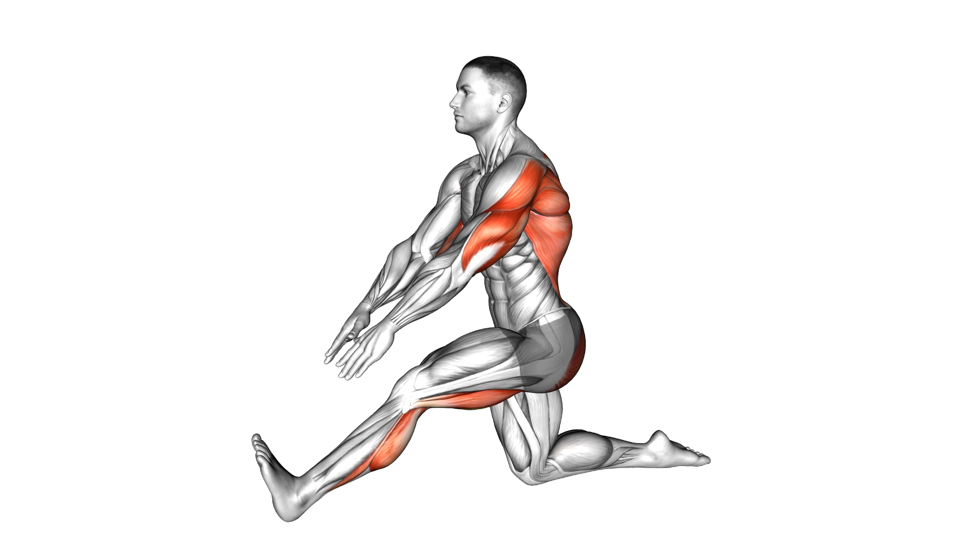 Kneeling Toe Up Hamstring Stretch exercise thumbnail