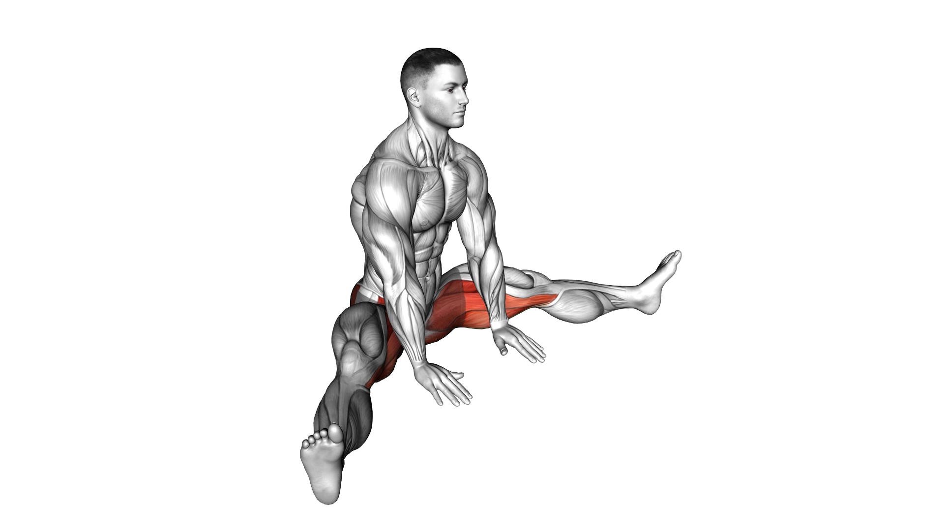 Seated Knee Flexor And Hip Adductor Stretch exercise demonstration
